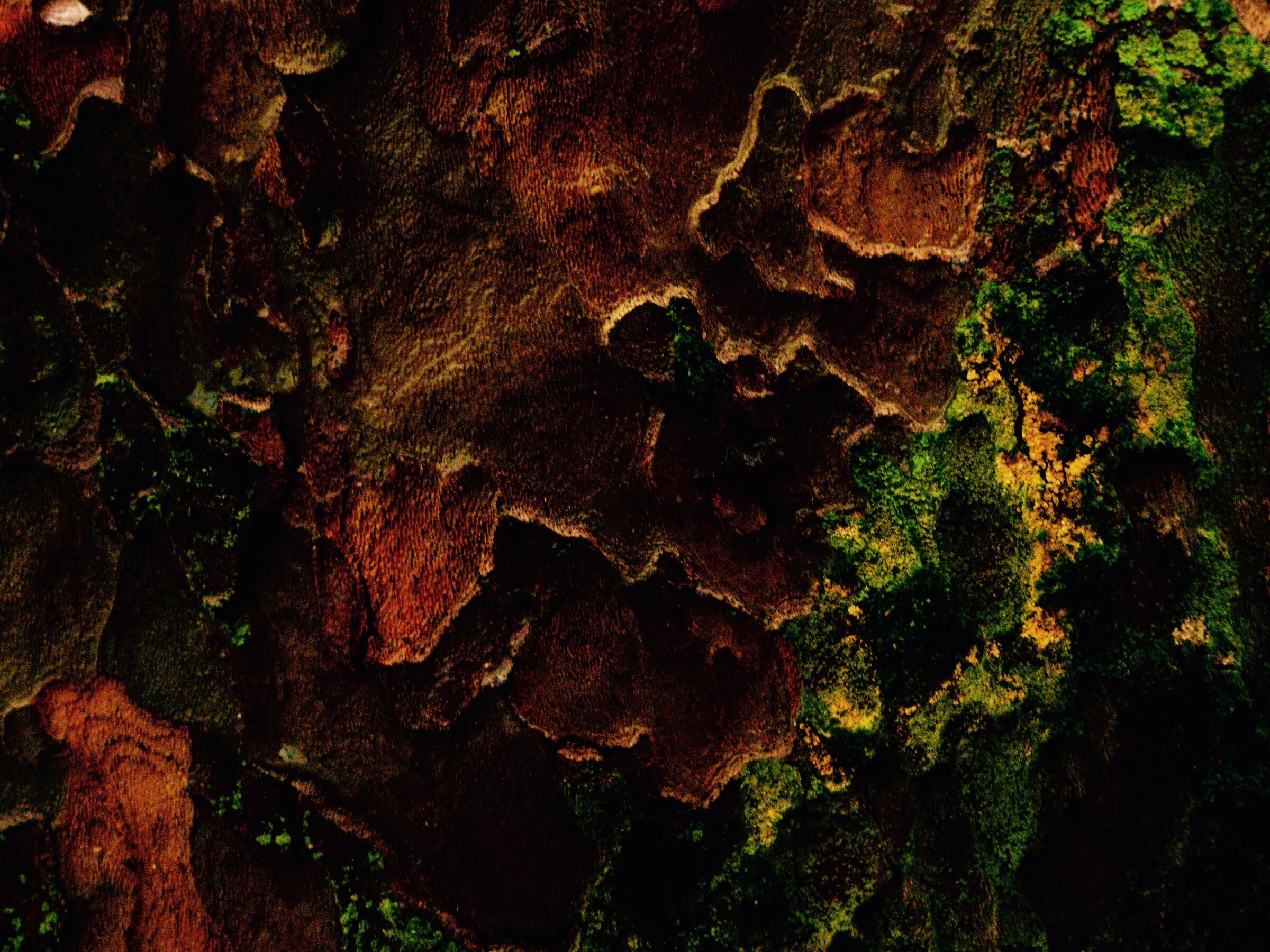 Palette