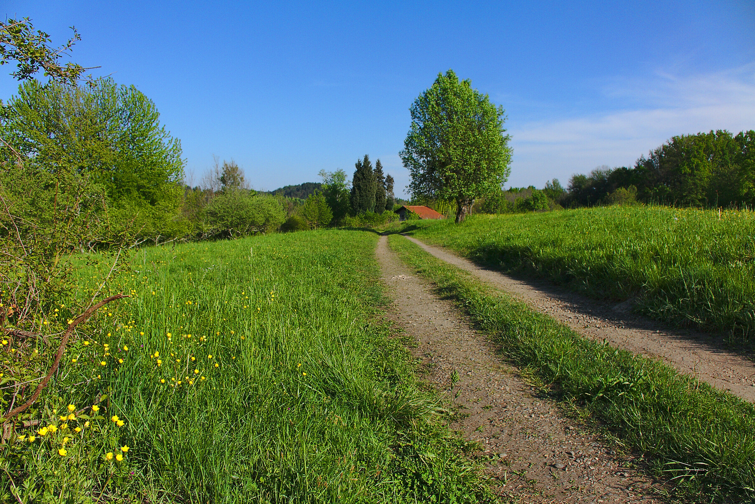 strada di campagna