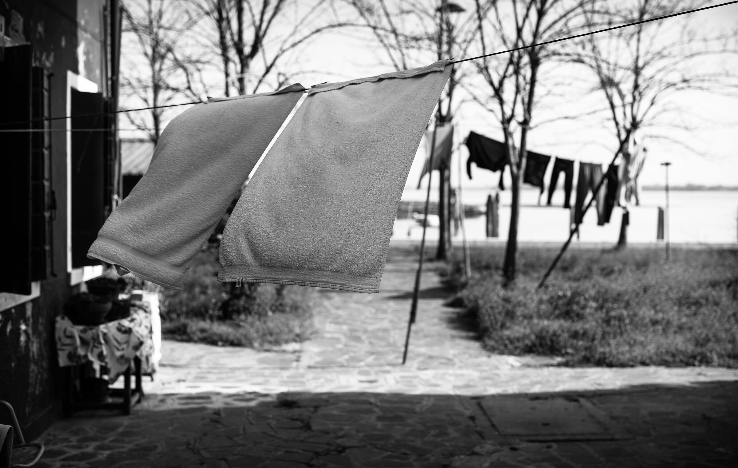 " Primo vento di primavera "