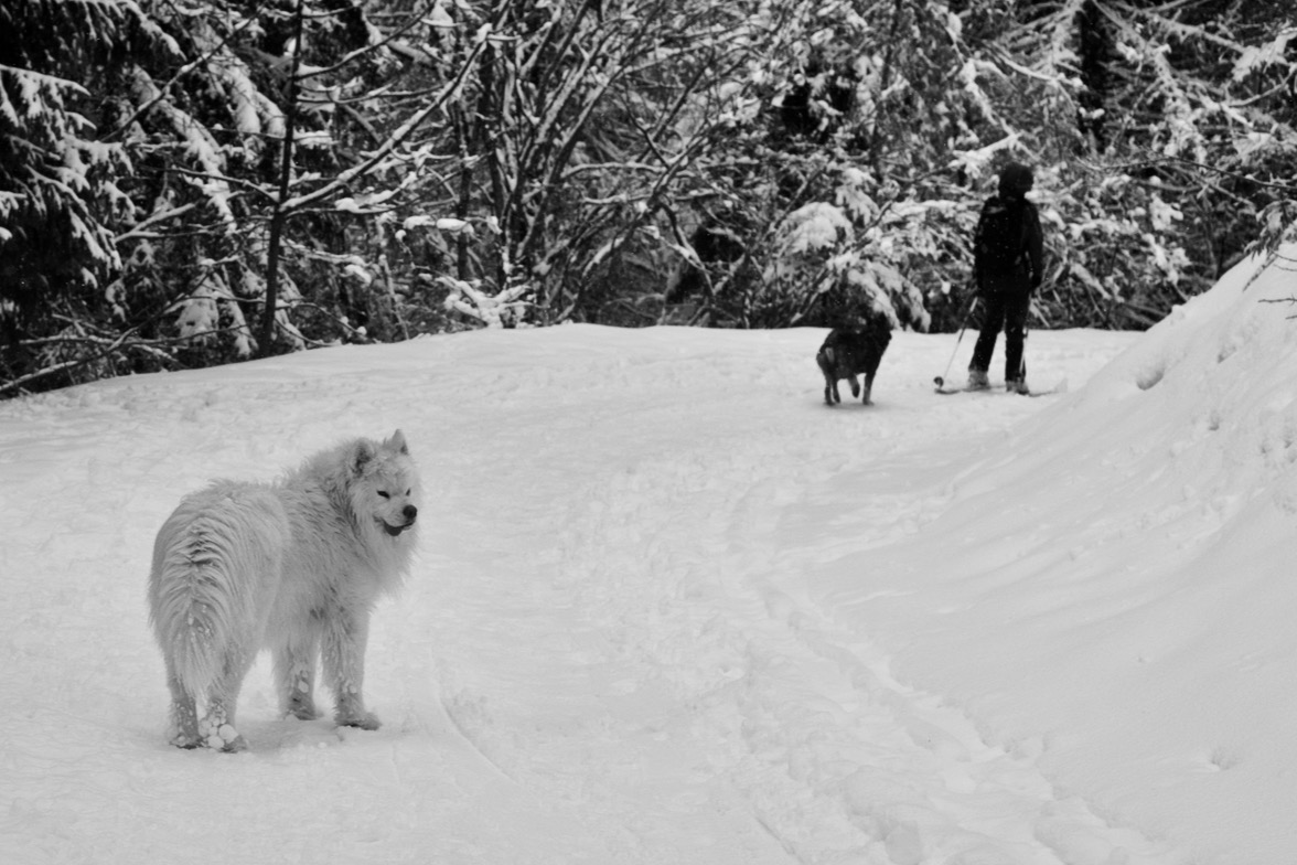 passeggiata sulla neve