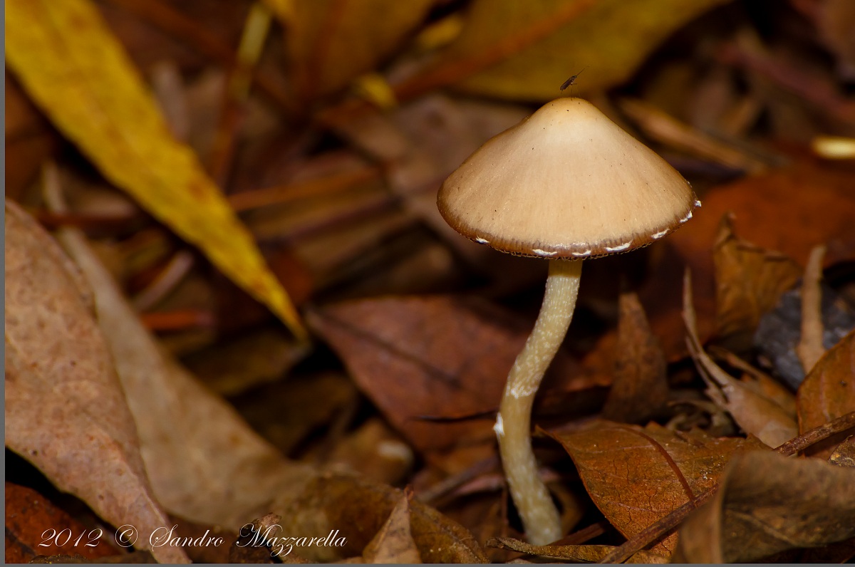 wanted the exclusive!