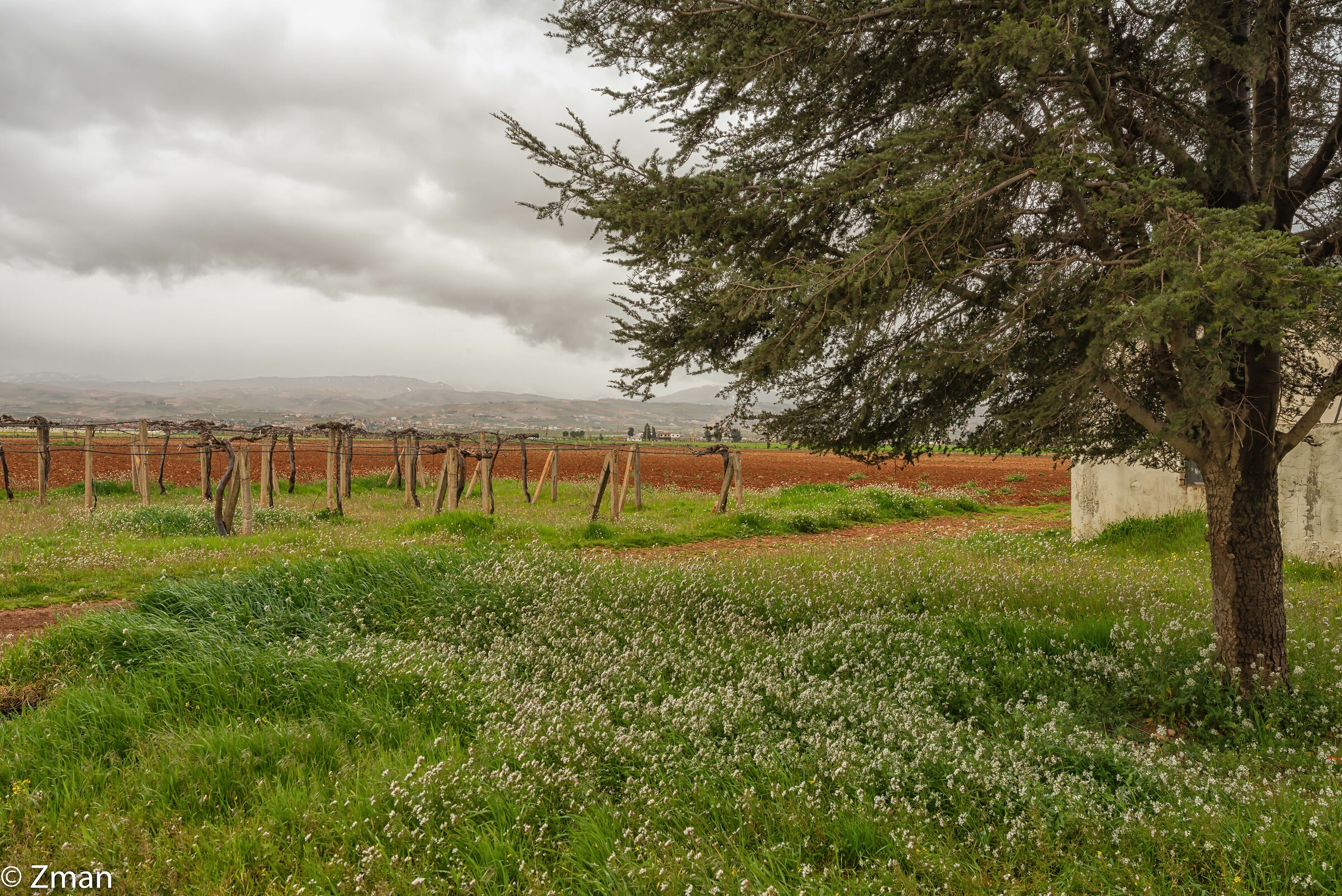 Una giornata fredda a Biqaa
