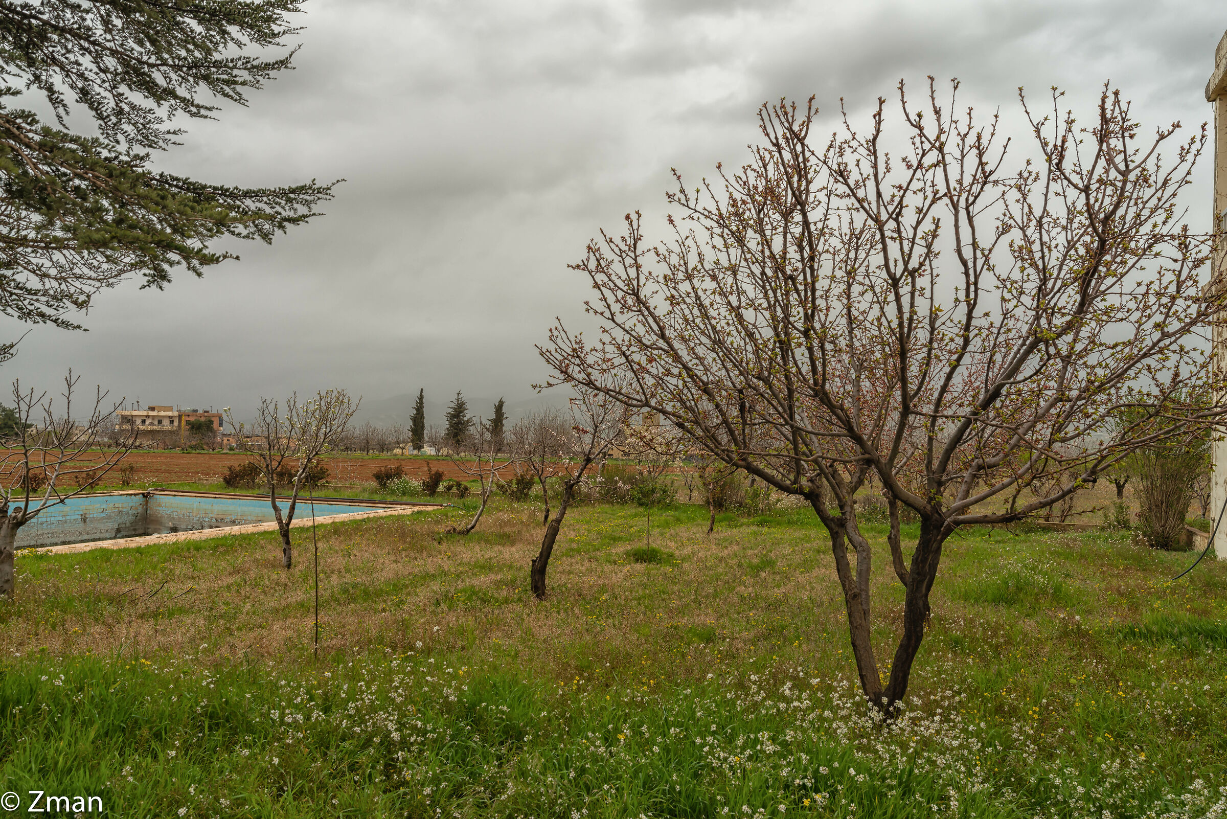 Una giornata fredda a Biqaa