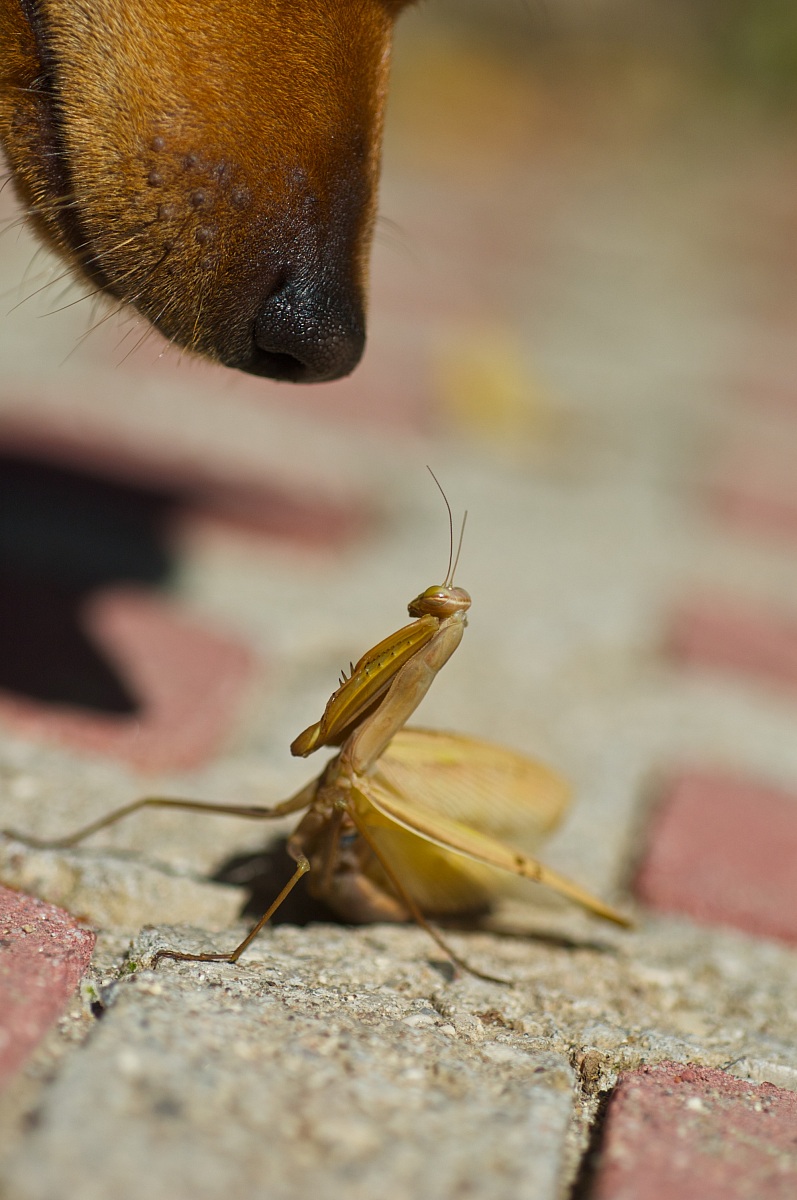 Toccami e ti ammazzo!!