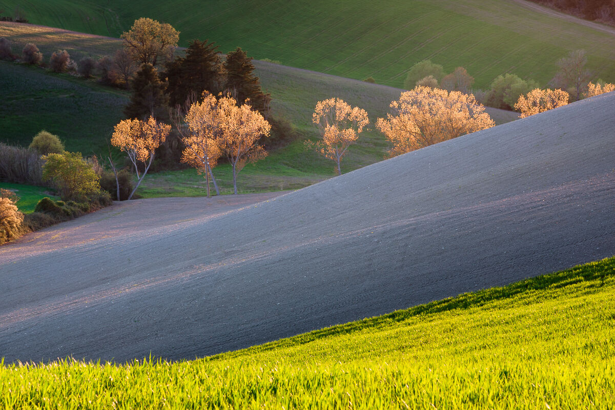 Colori di aprile ...