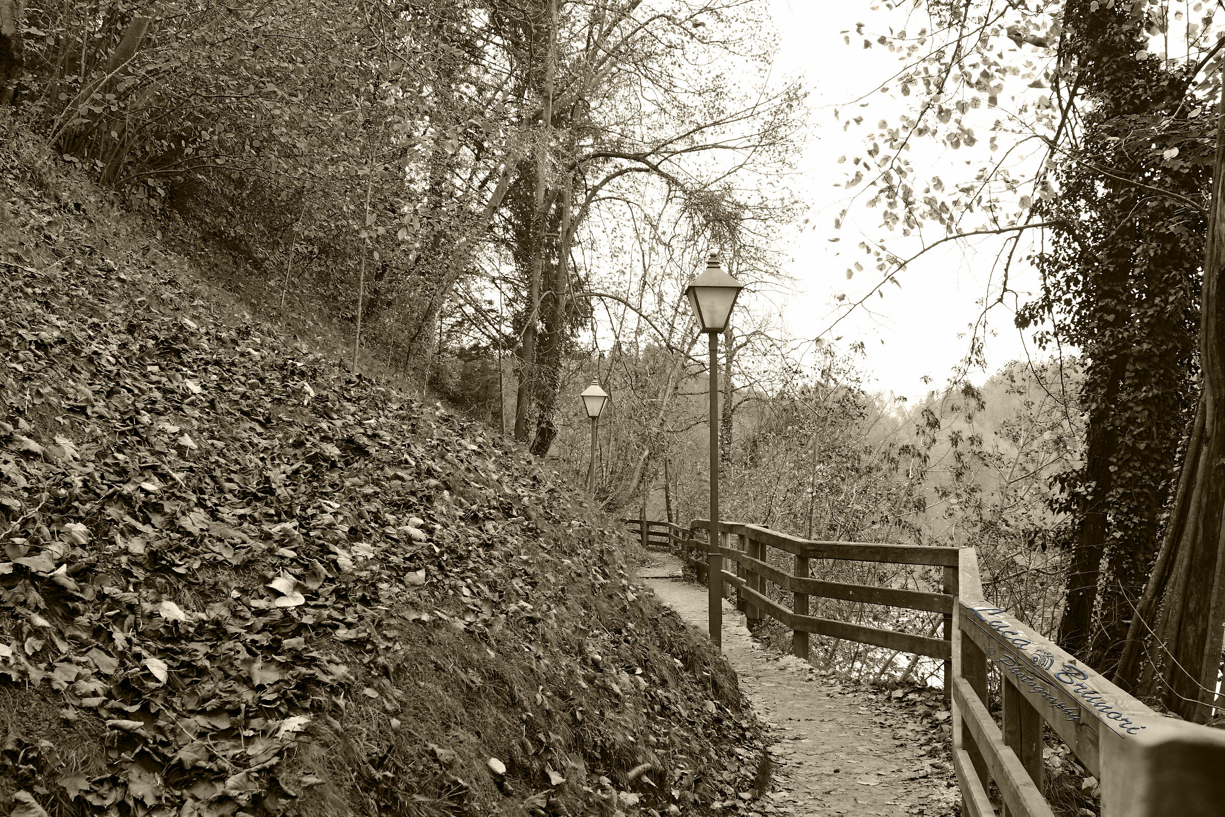 Lake Bled Island (Slovenia)