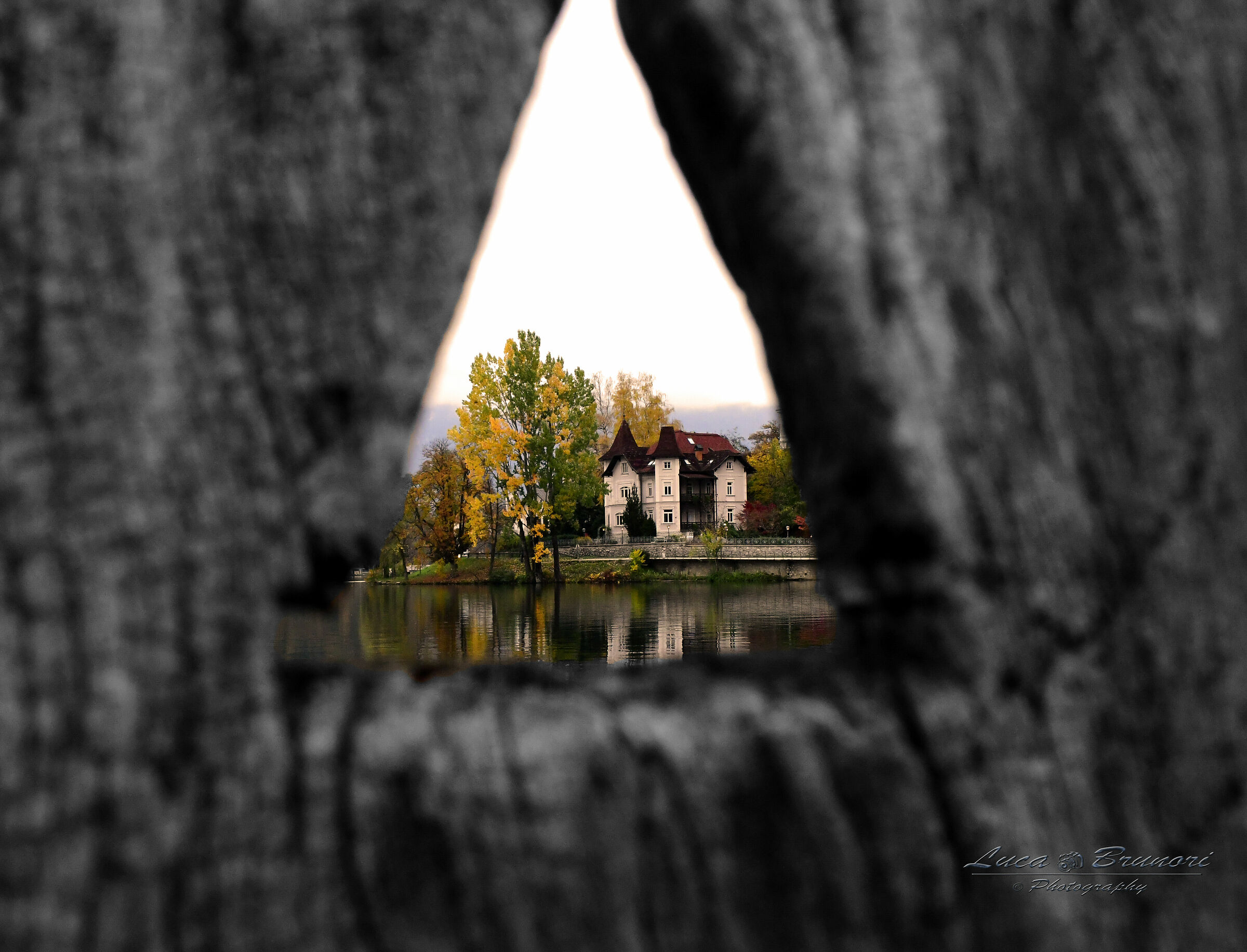 Lake Bled (Slovenia)