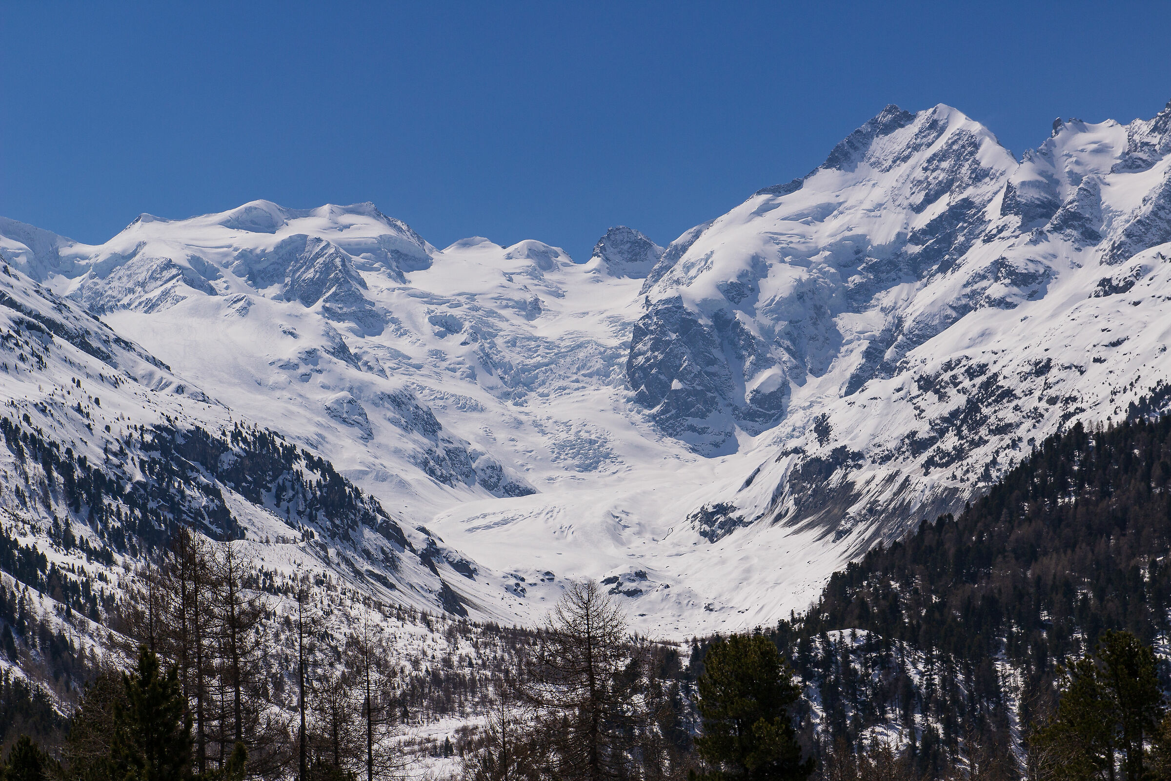 Panorama of the Bernina group