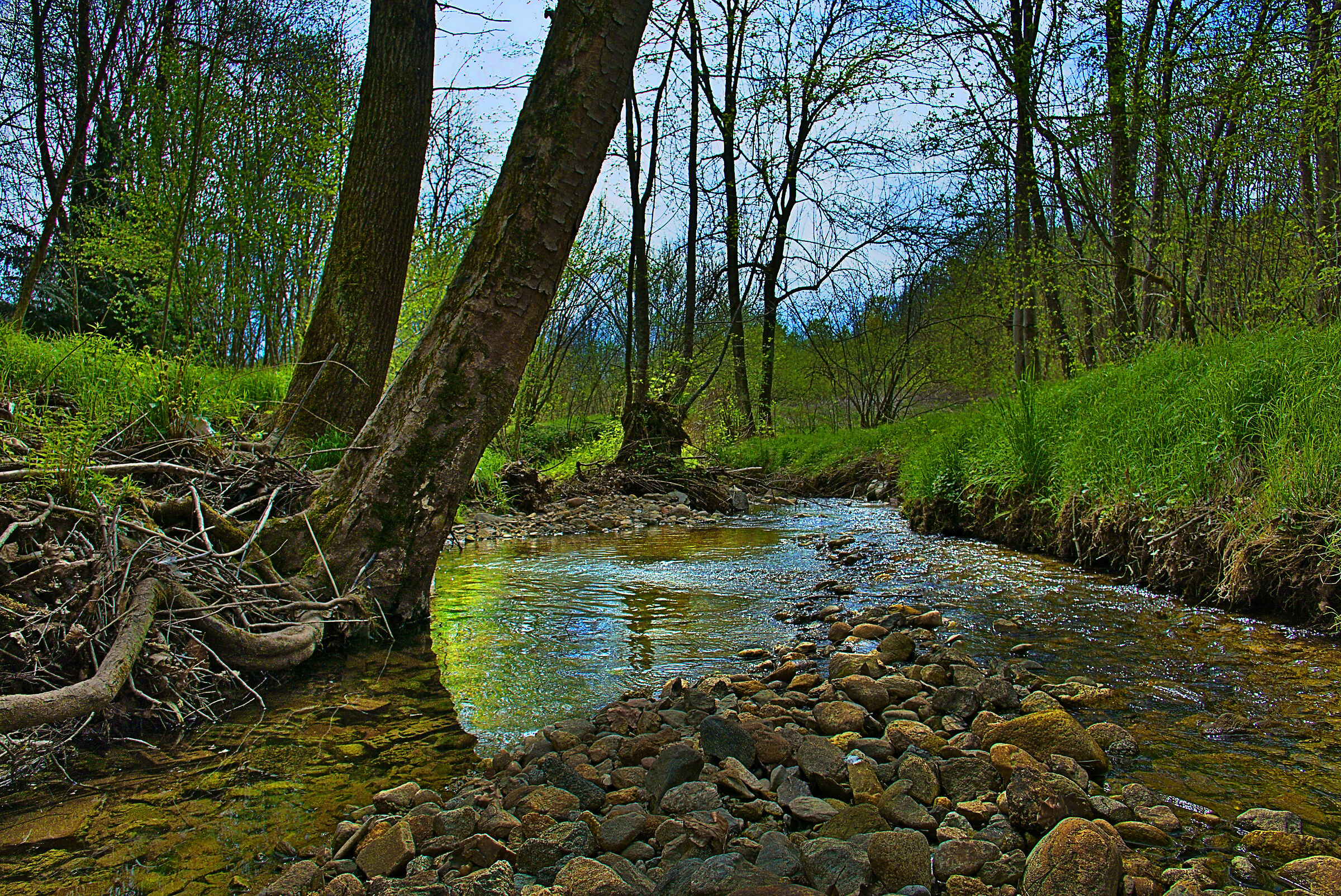 Of the average Valsesia