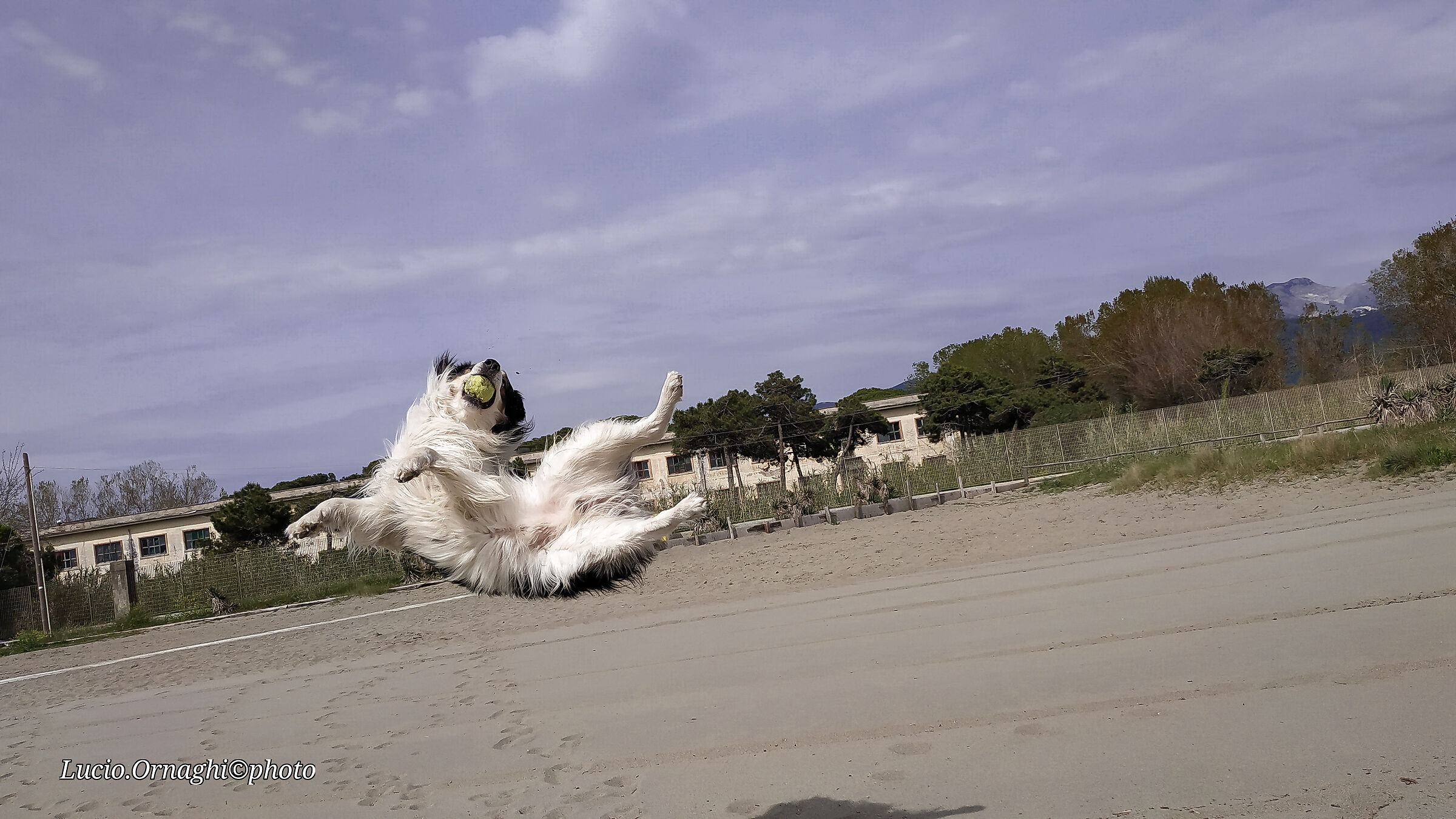 Allenamento intensivo