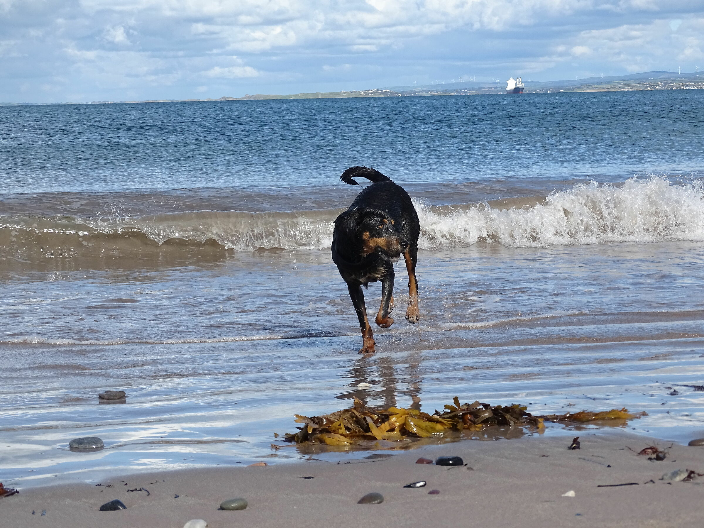 Ora fallo te il bagnetto