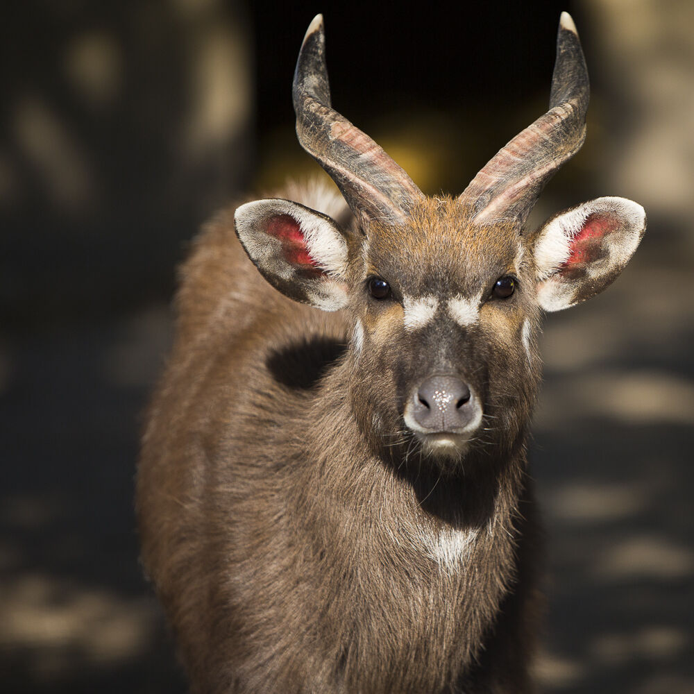 I keep an eye on you