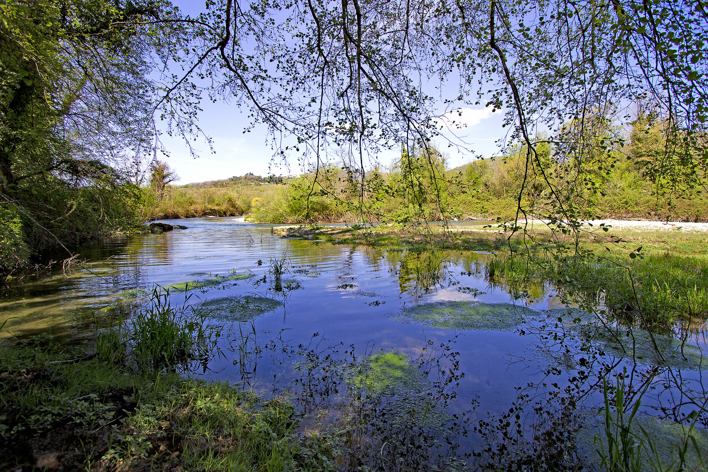 Aniene (dove l'acqua è ancora pulita)