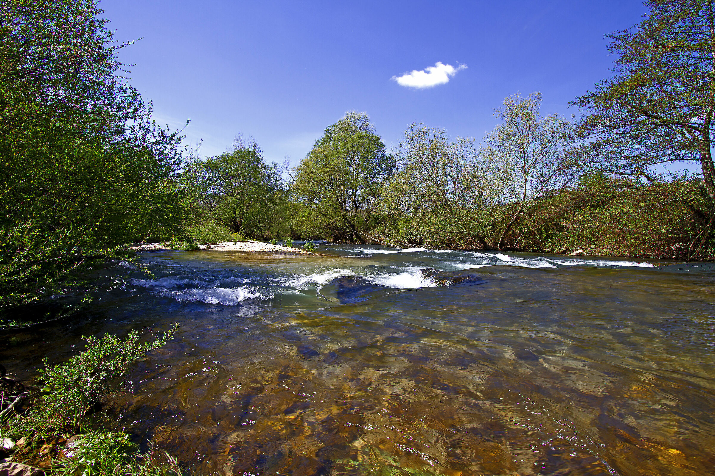 Aniene (dove l'acqua è ancora pulita)