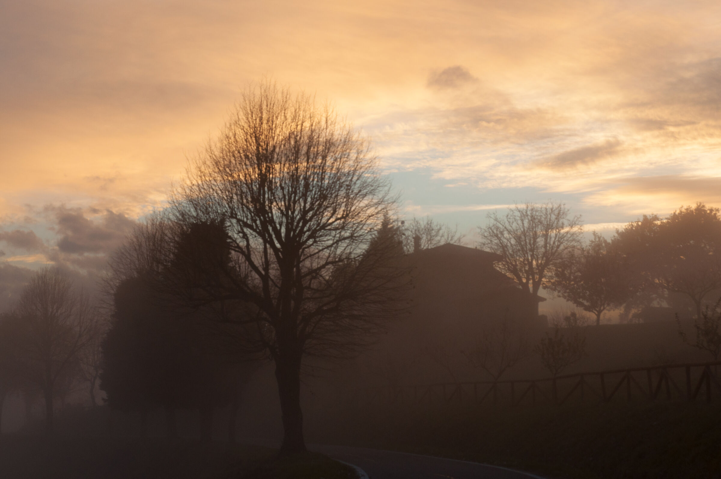 ultime luci nella nebbia