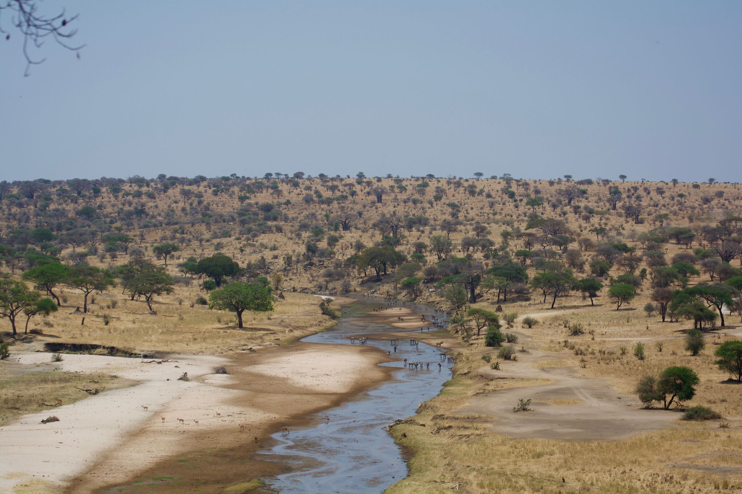 The Tarangire