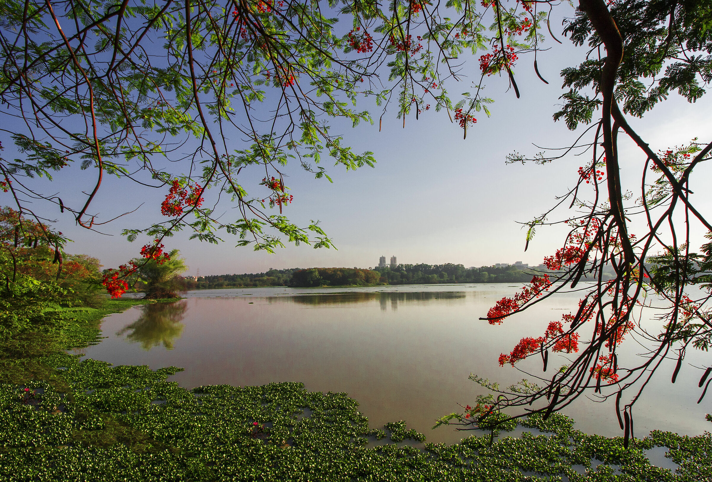 Lago Hebbal