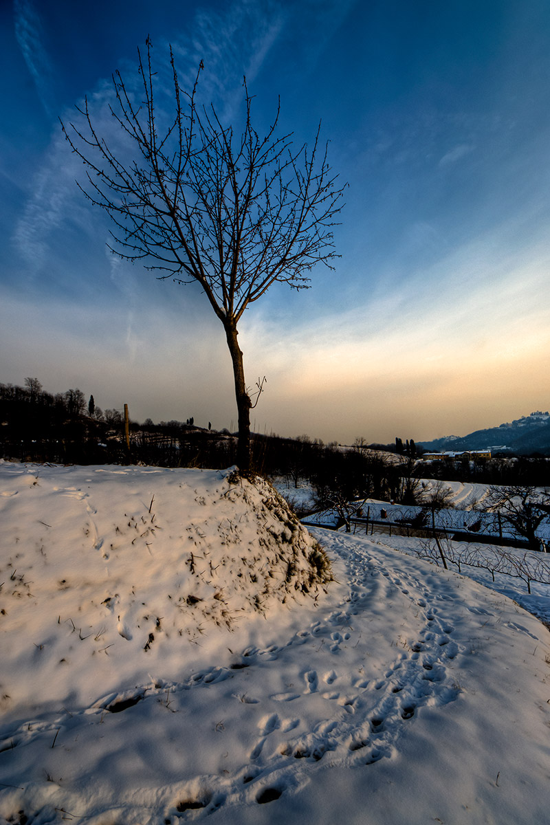 Tracce nella neve