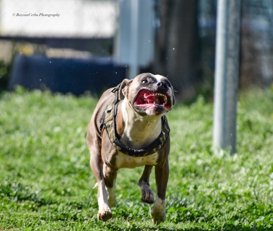 Freedom has a funny face