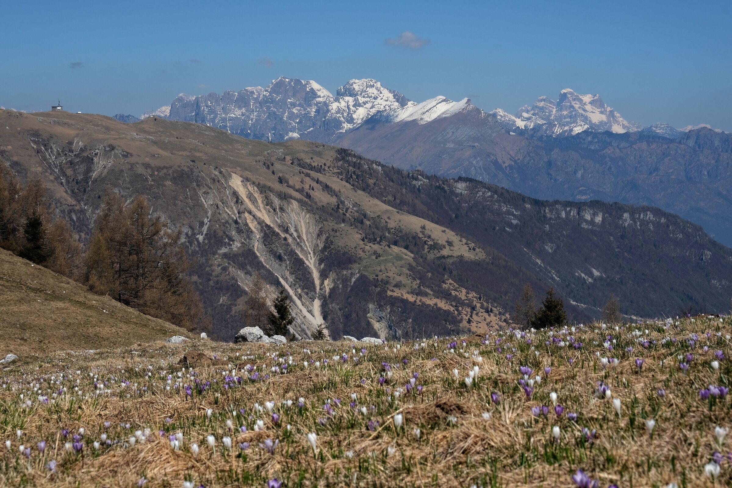 Monte Pizzoc. (Chanson)