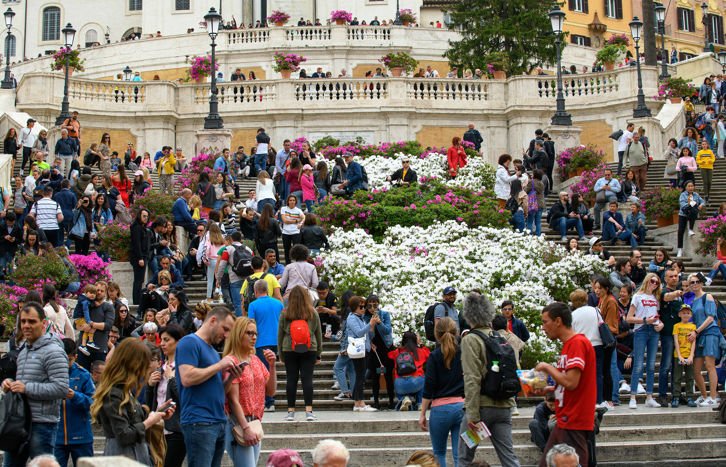 Rome-The Rite of Azaleas in Trinità dei Monti