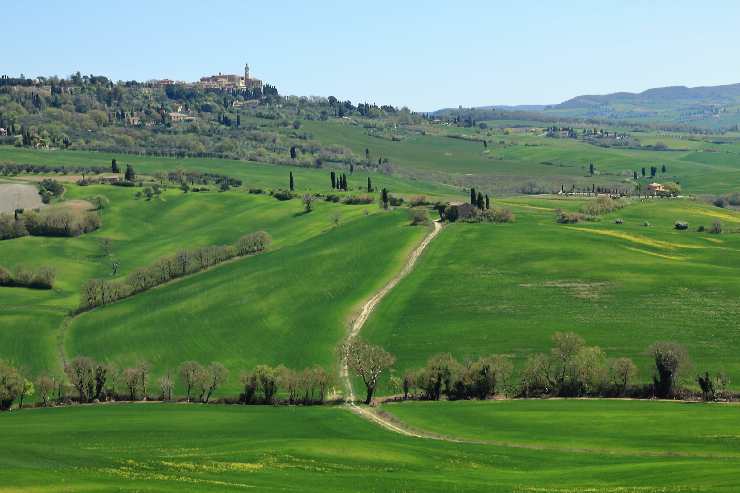 Pienza Valley
