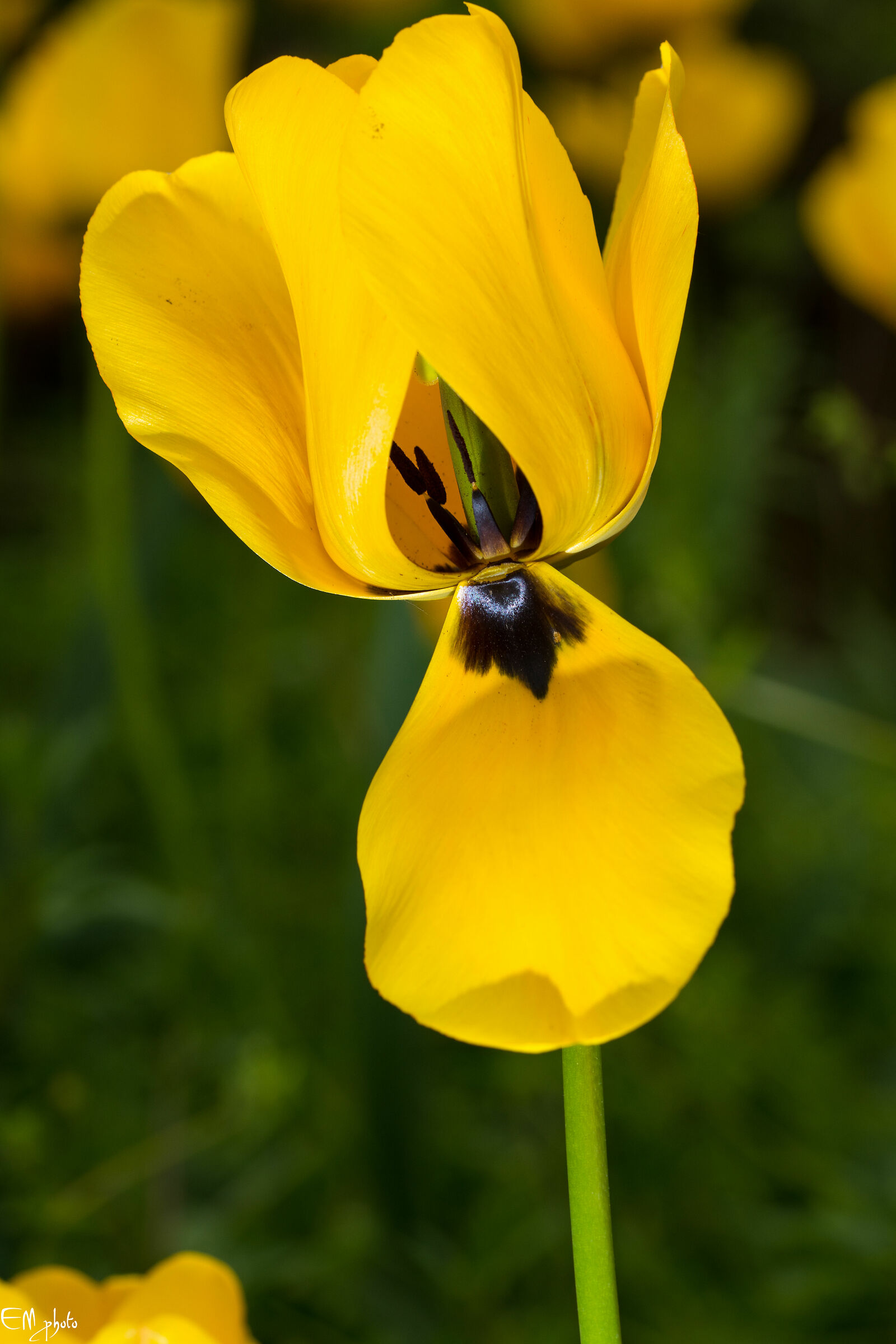ciò che conta veramente...