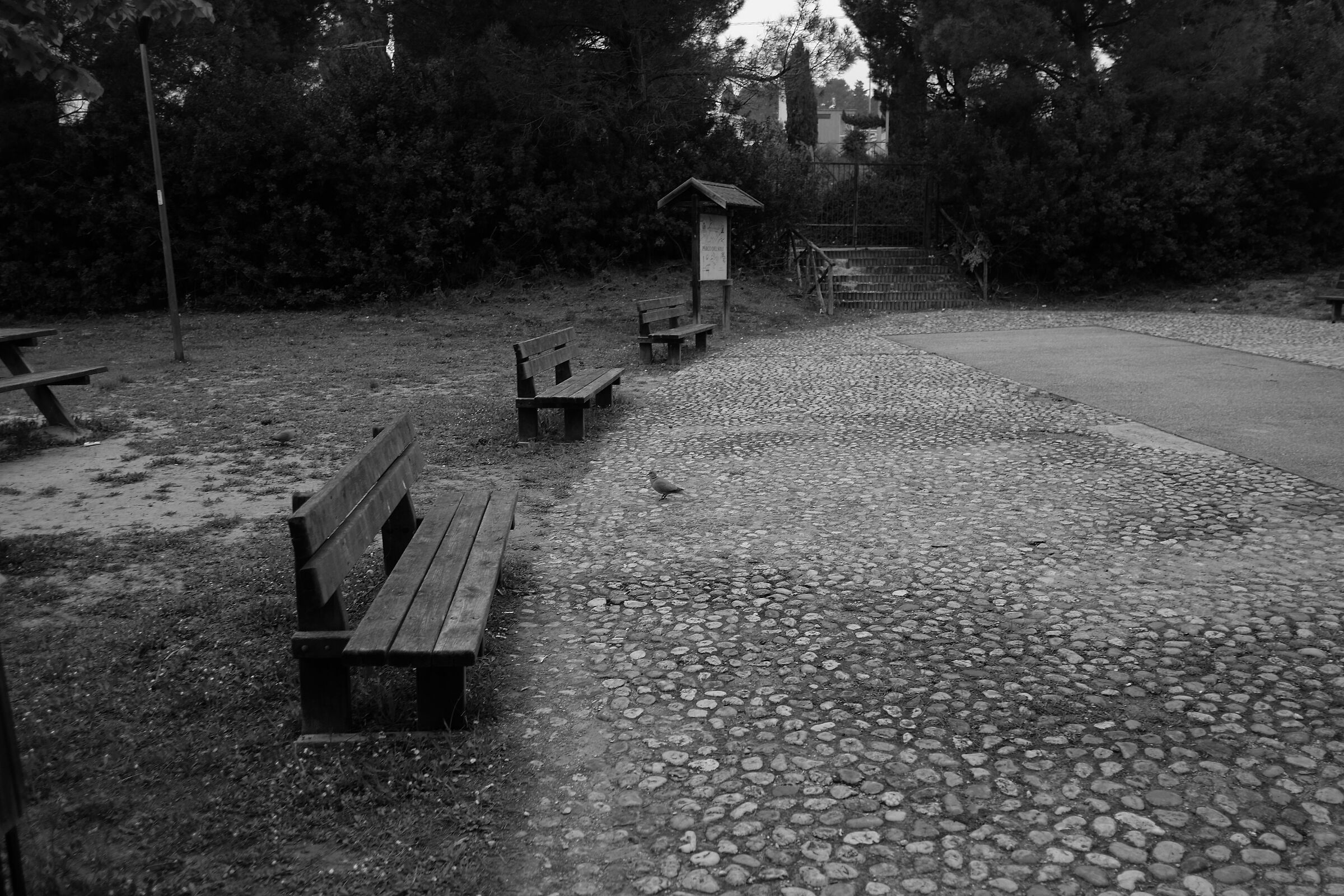 Untitled Photo