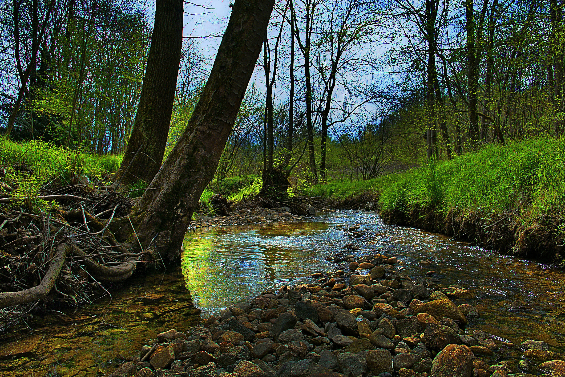 riale di Plello tra luci e ombre