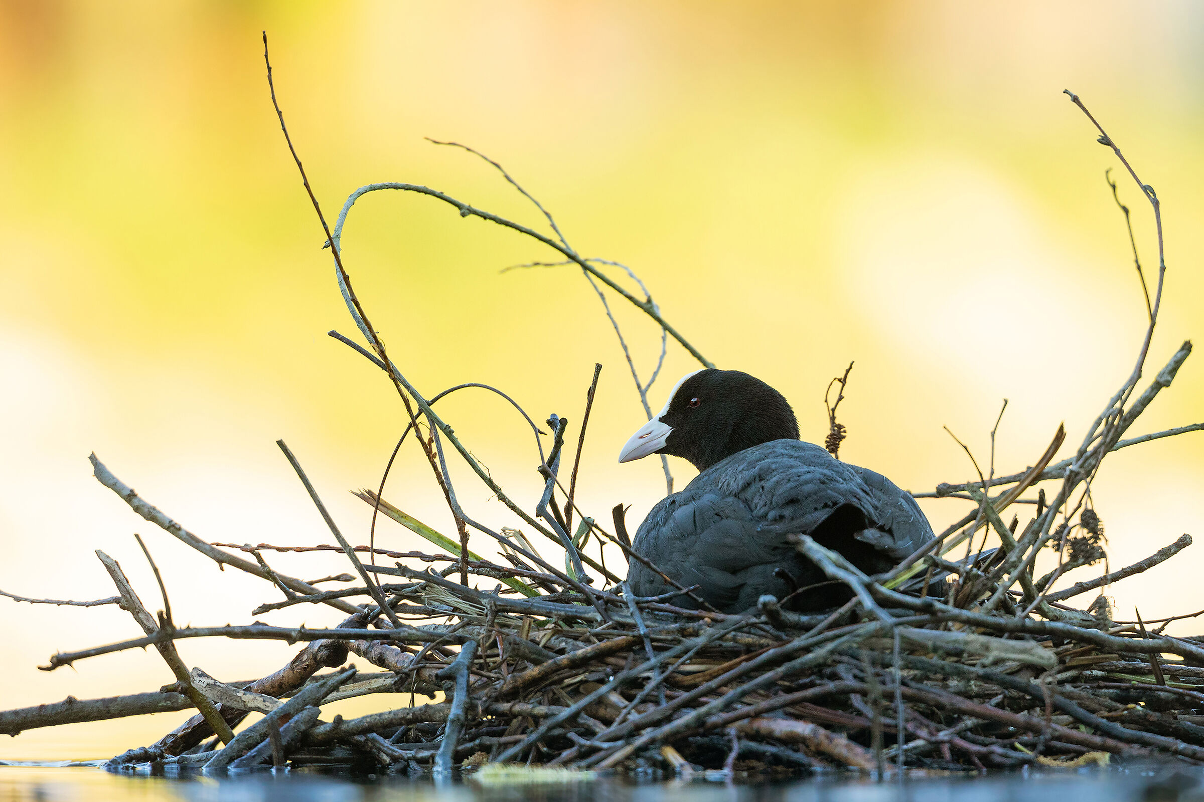 And just where they made love..