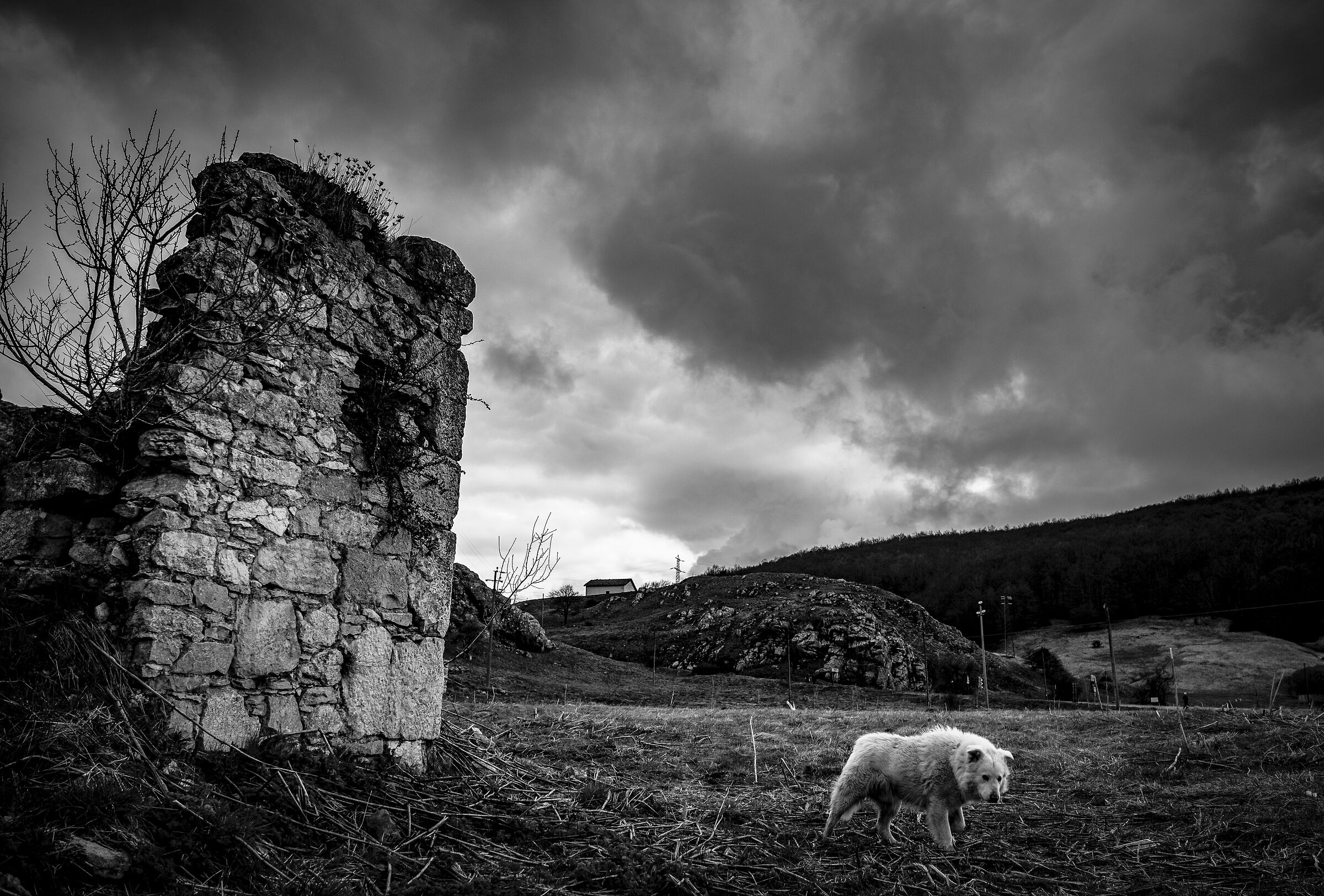 il vecchio sorvegliante