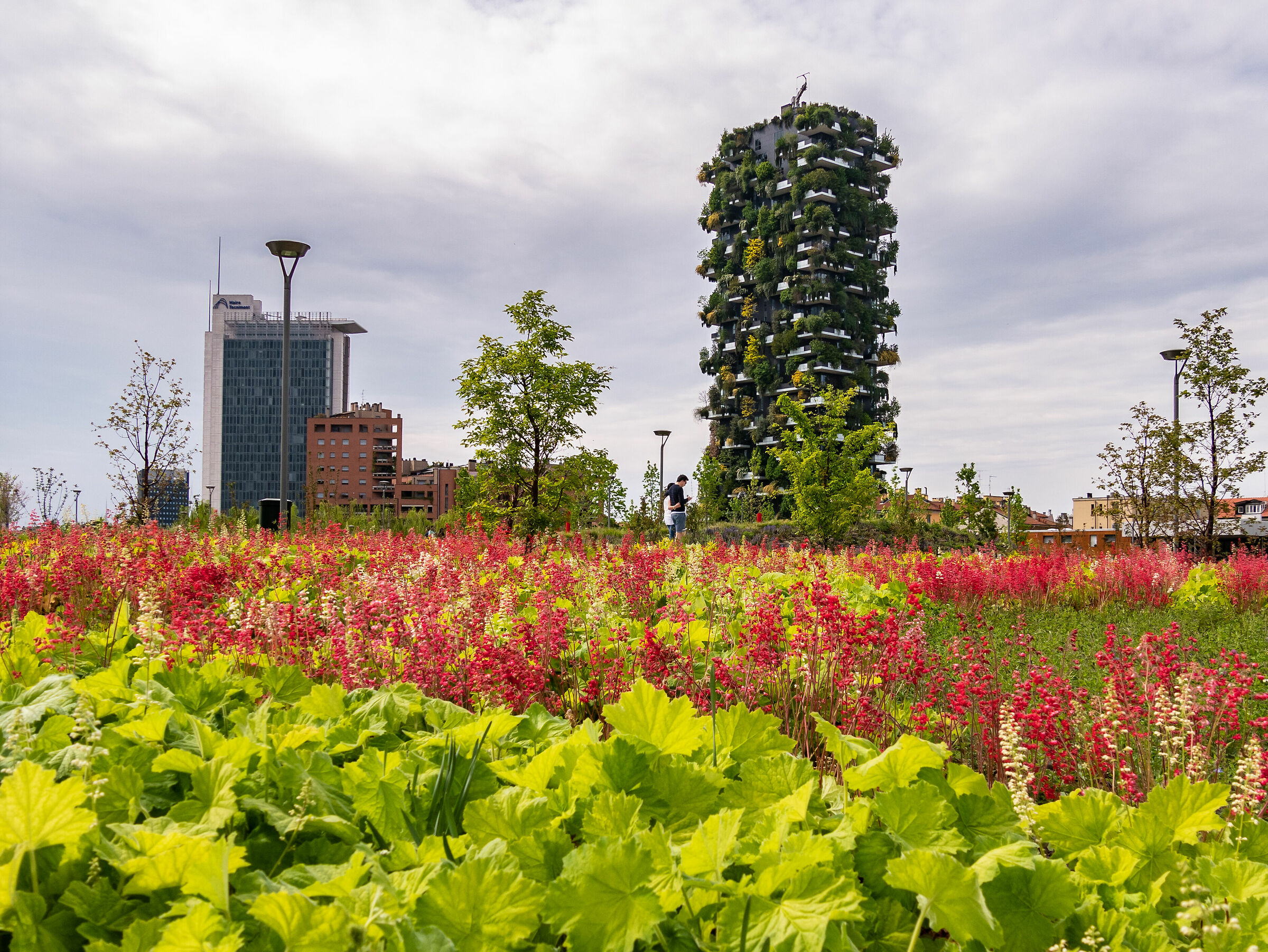 Library of trees and vertical forest