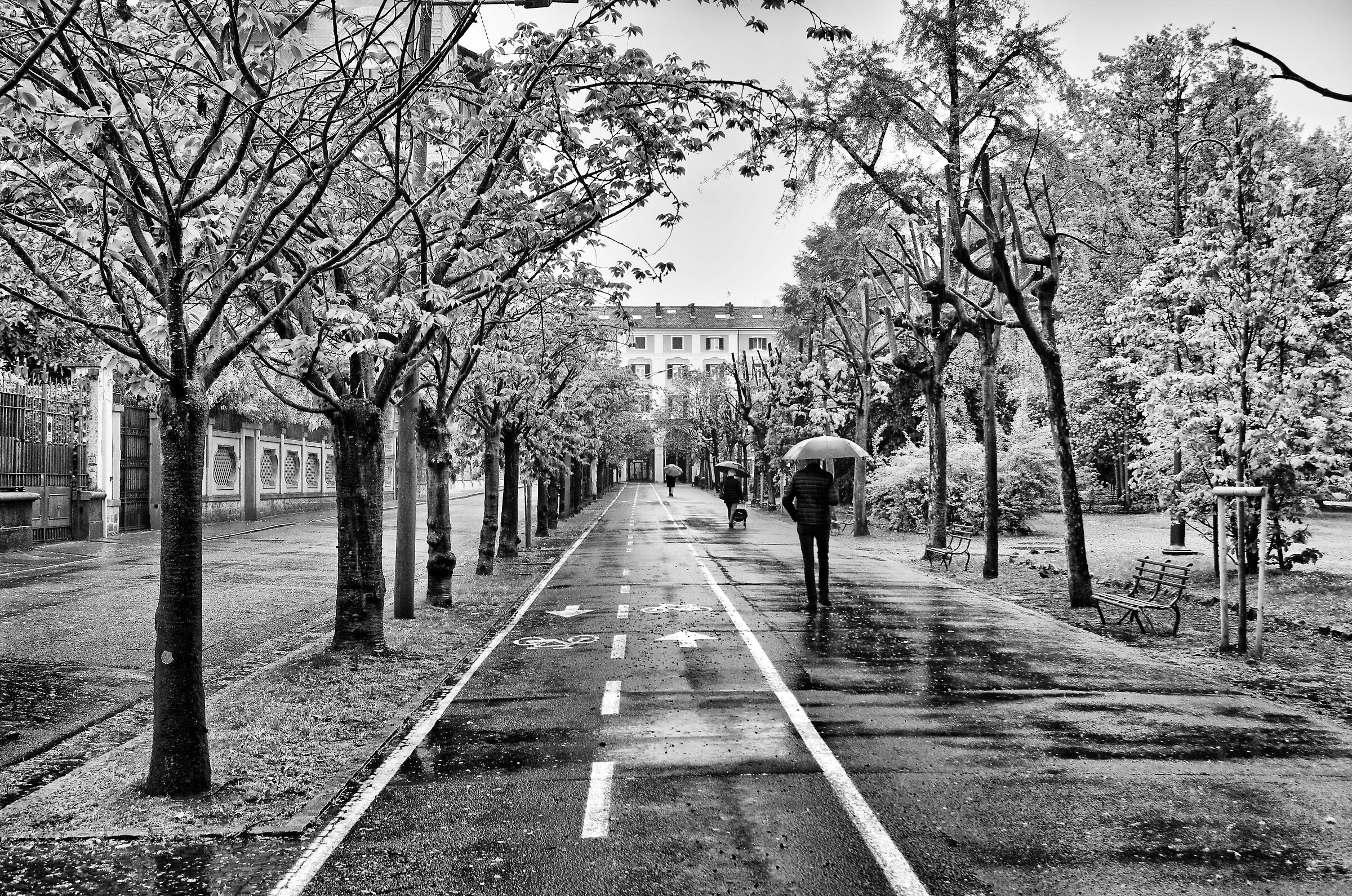 pioggia di primavera