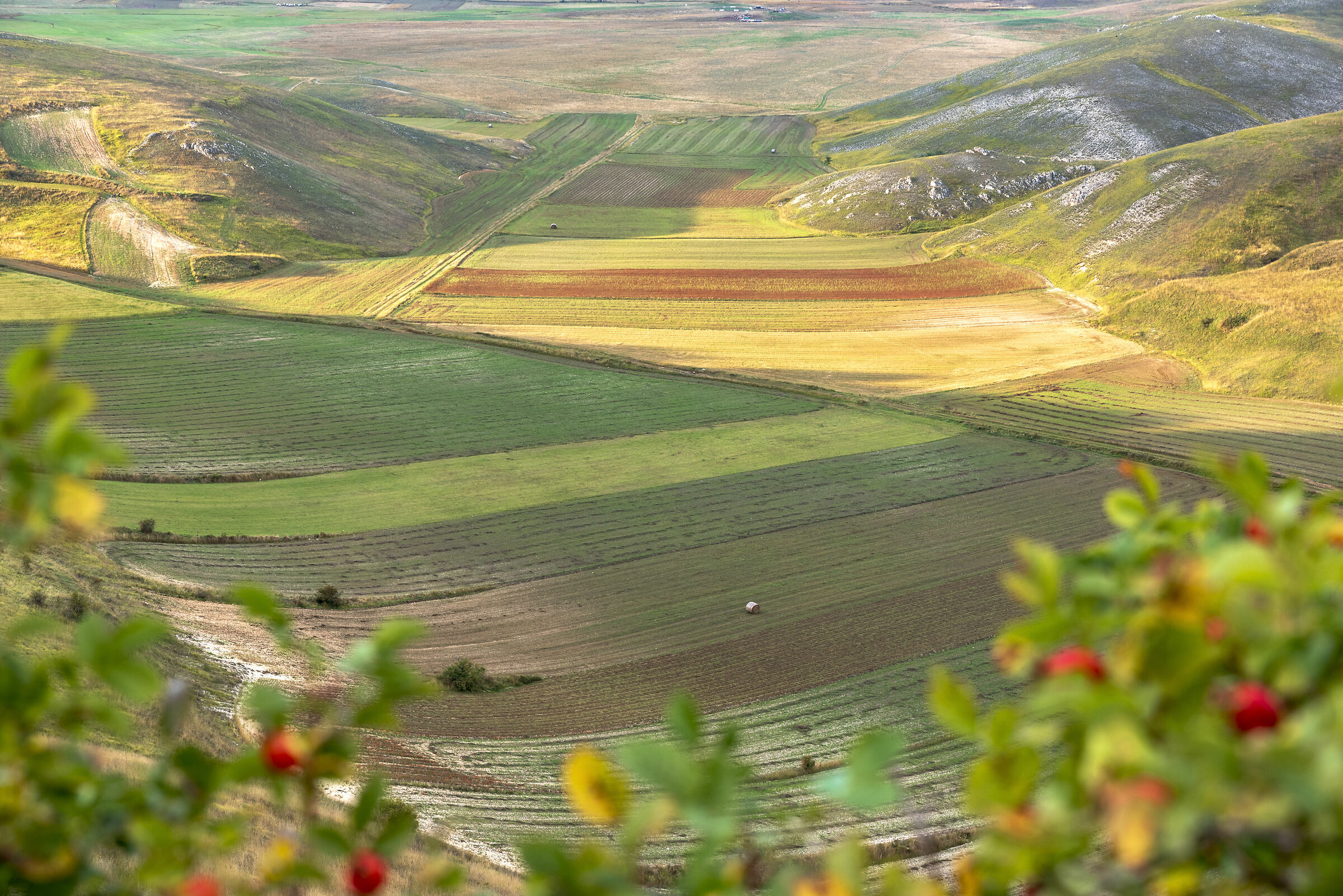 Castelluccio