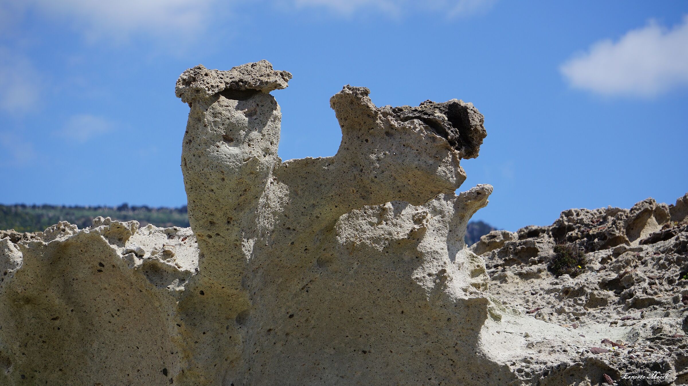 La Bisbetica e l'Offeso