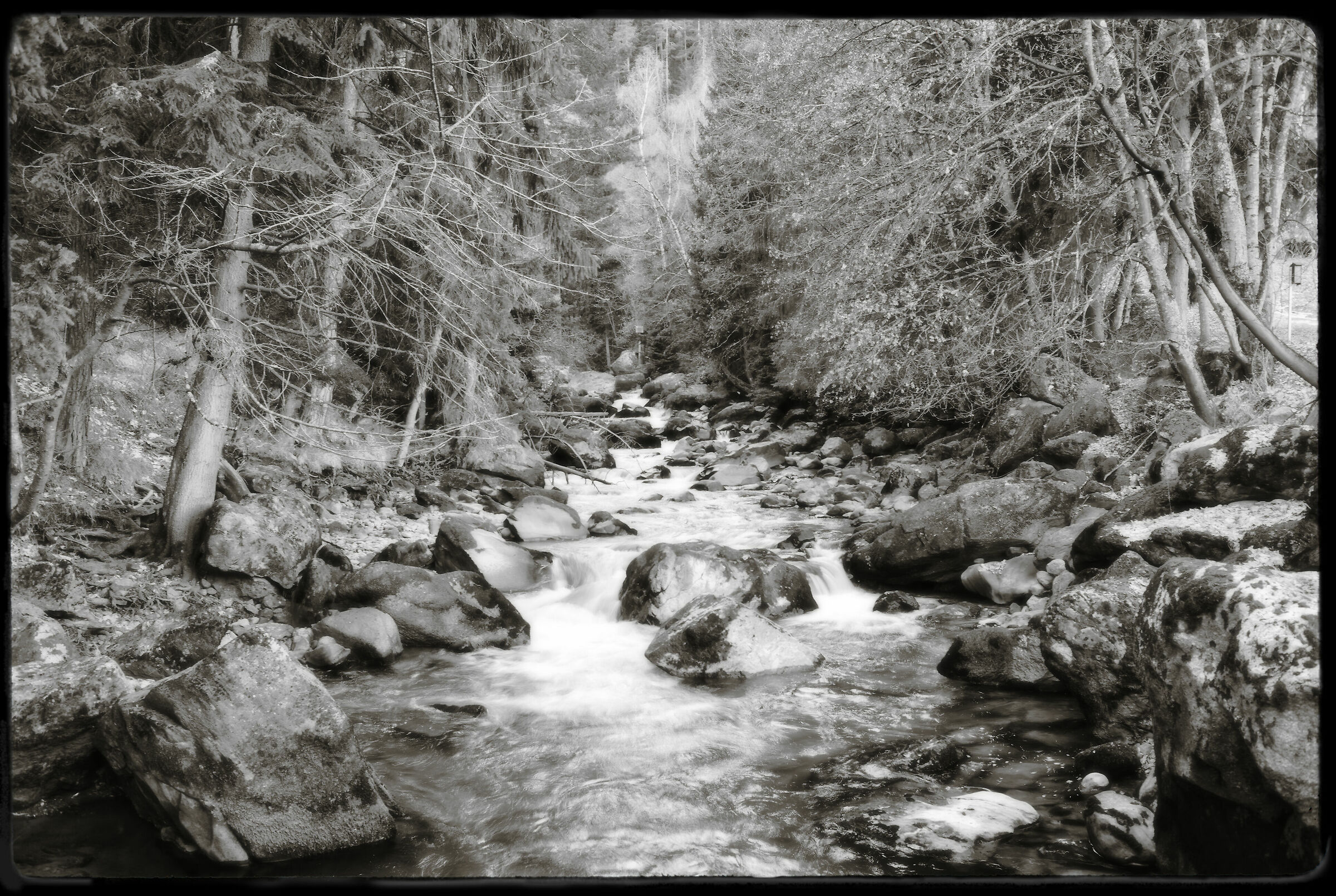 Prè St. Didier-Horrid