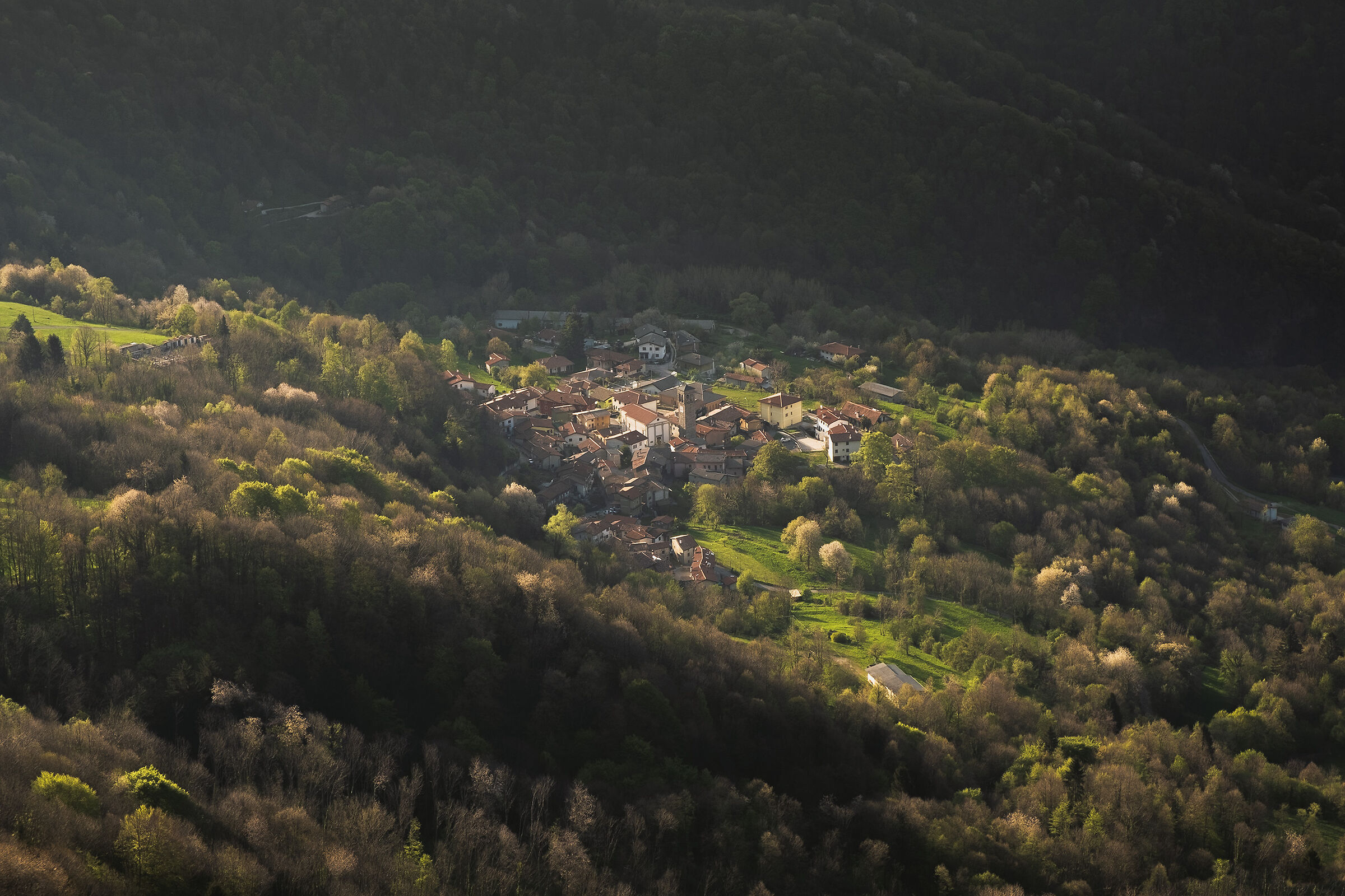 Masarolis dal monte Joanaz
