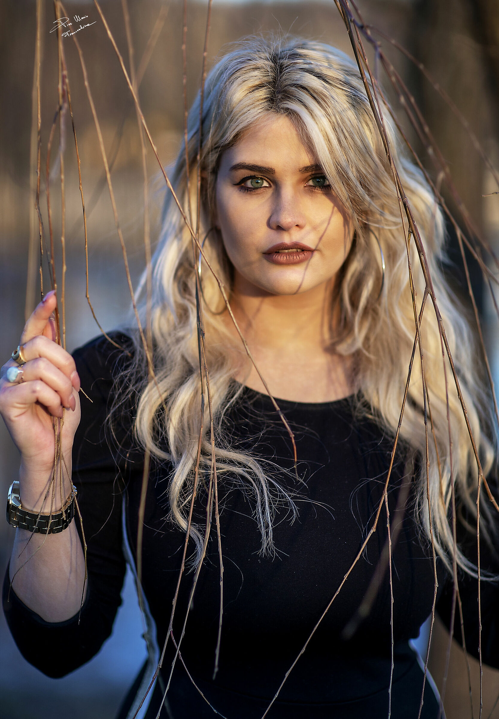 Accarezzata dal sole