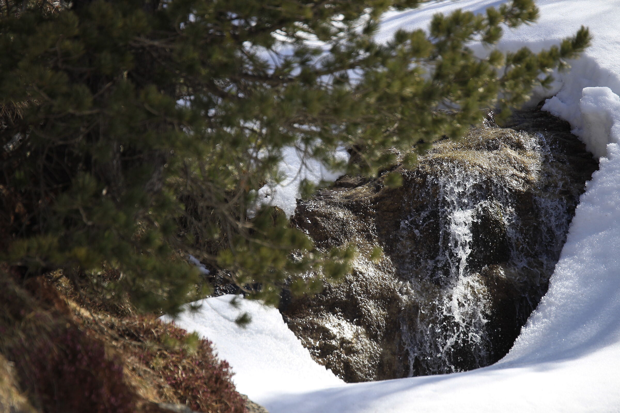 Water always finds its way