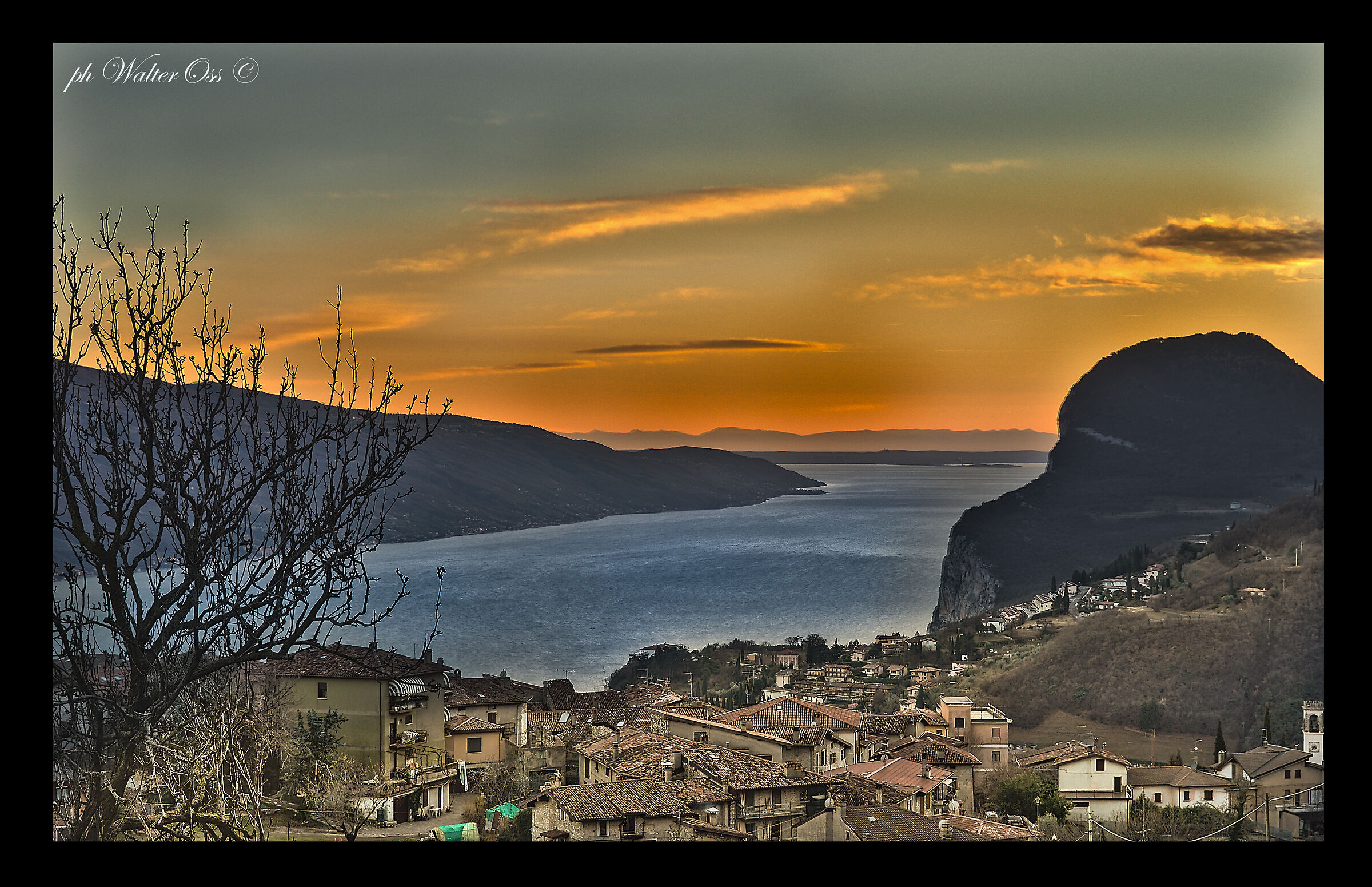 Tremosine
