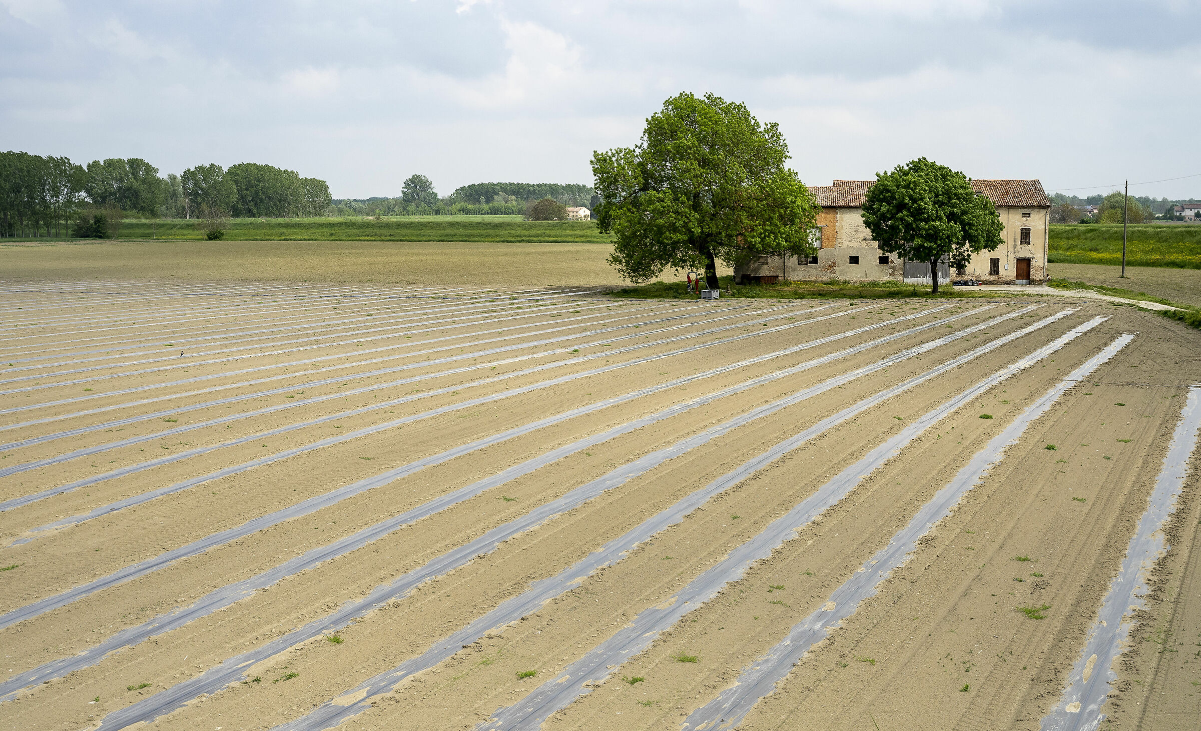 Reggia Colorno e dintorni