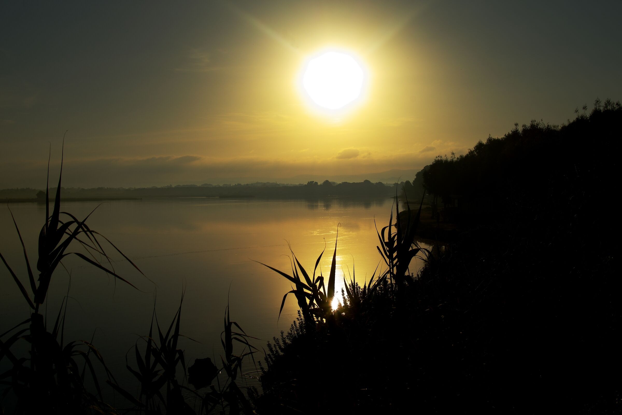 Alba in laguna Fertilia