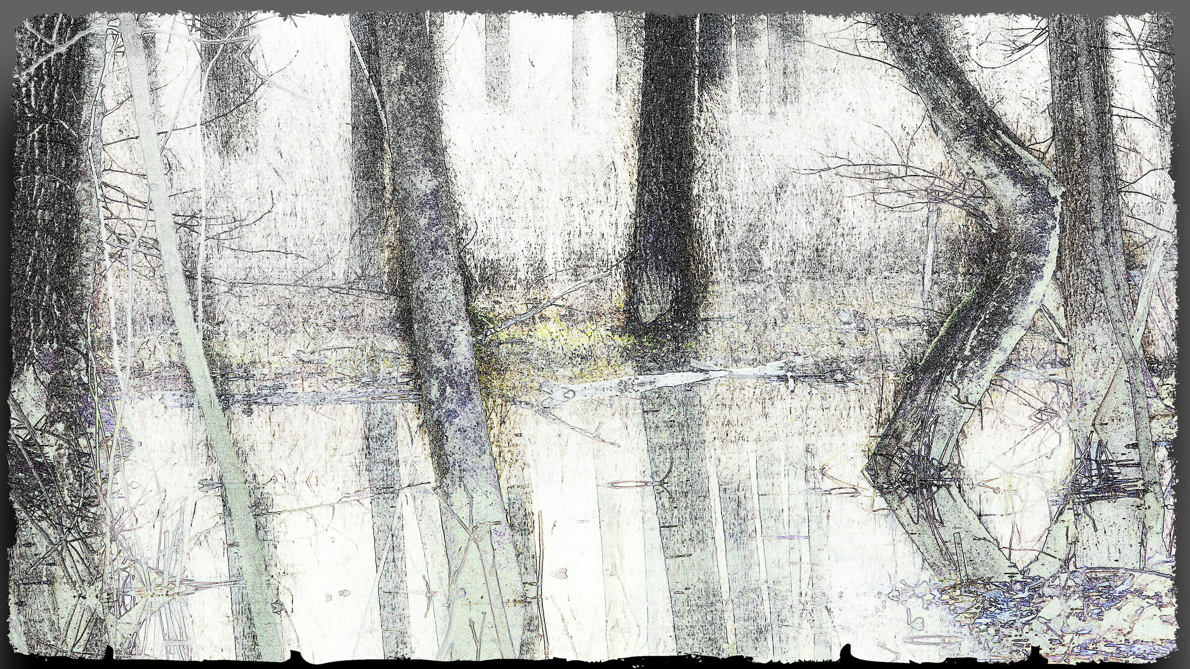 Avigliana-wetland/flooded forest