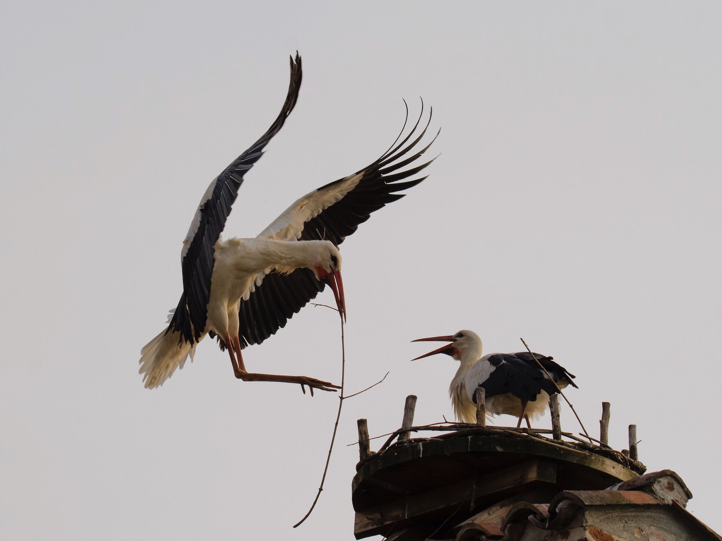 Treasure?!? ... I'm home!