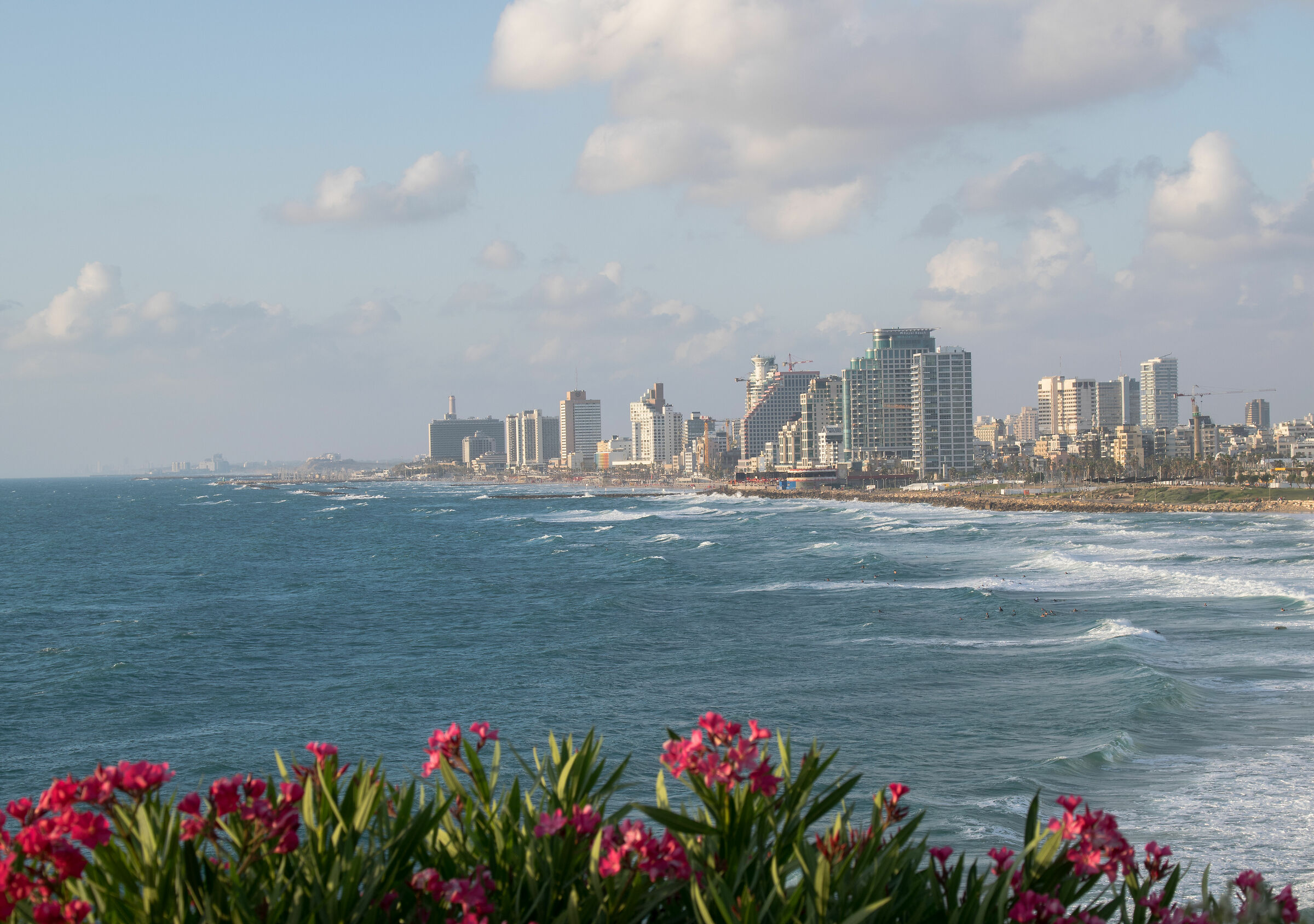 Tel Aviv Panorama