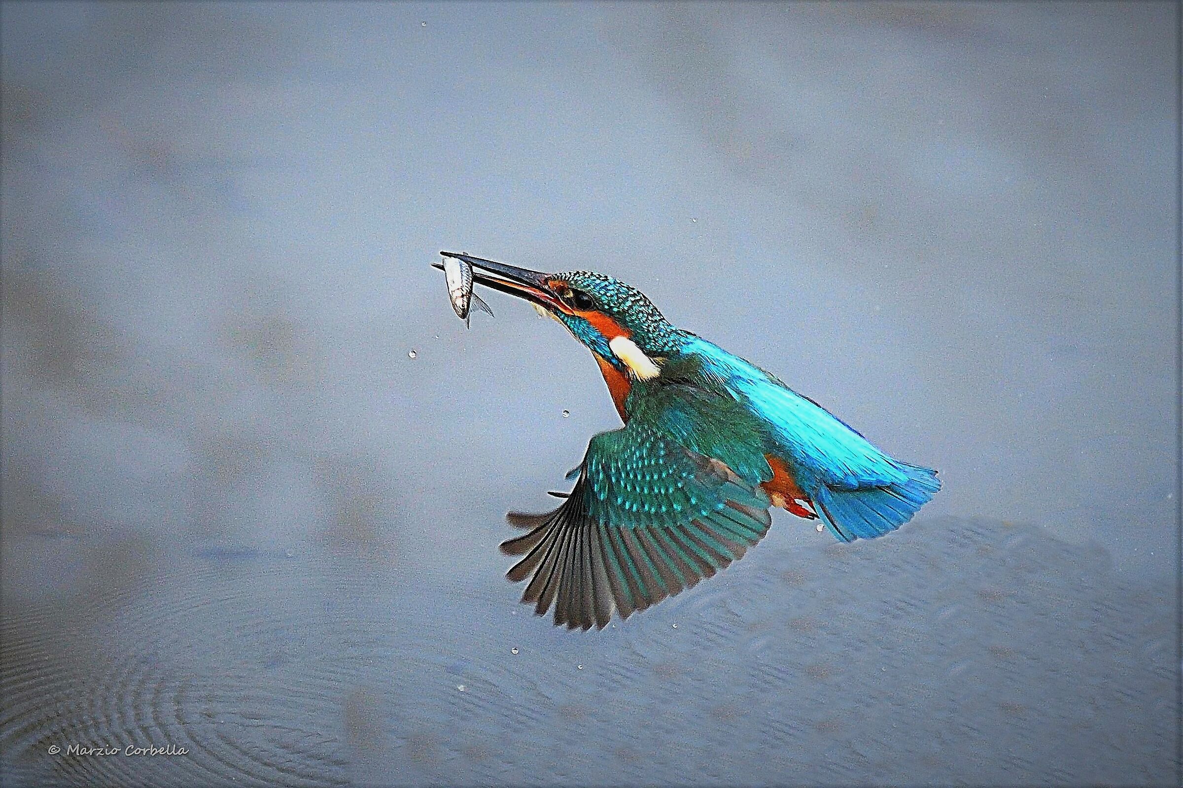 All Inclusive Flight