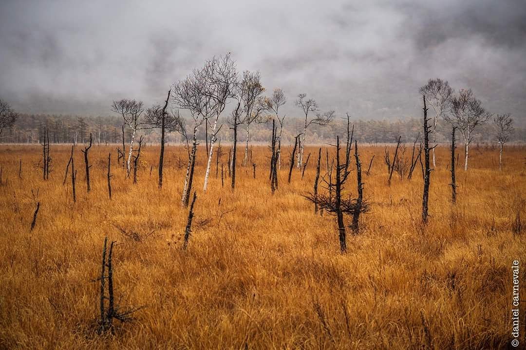 Autumn Landscape in Japan