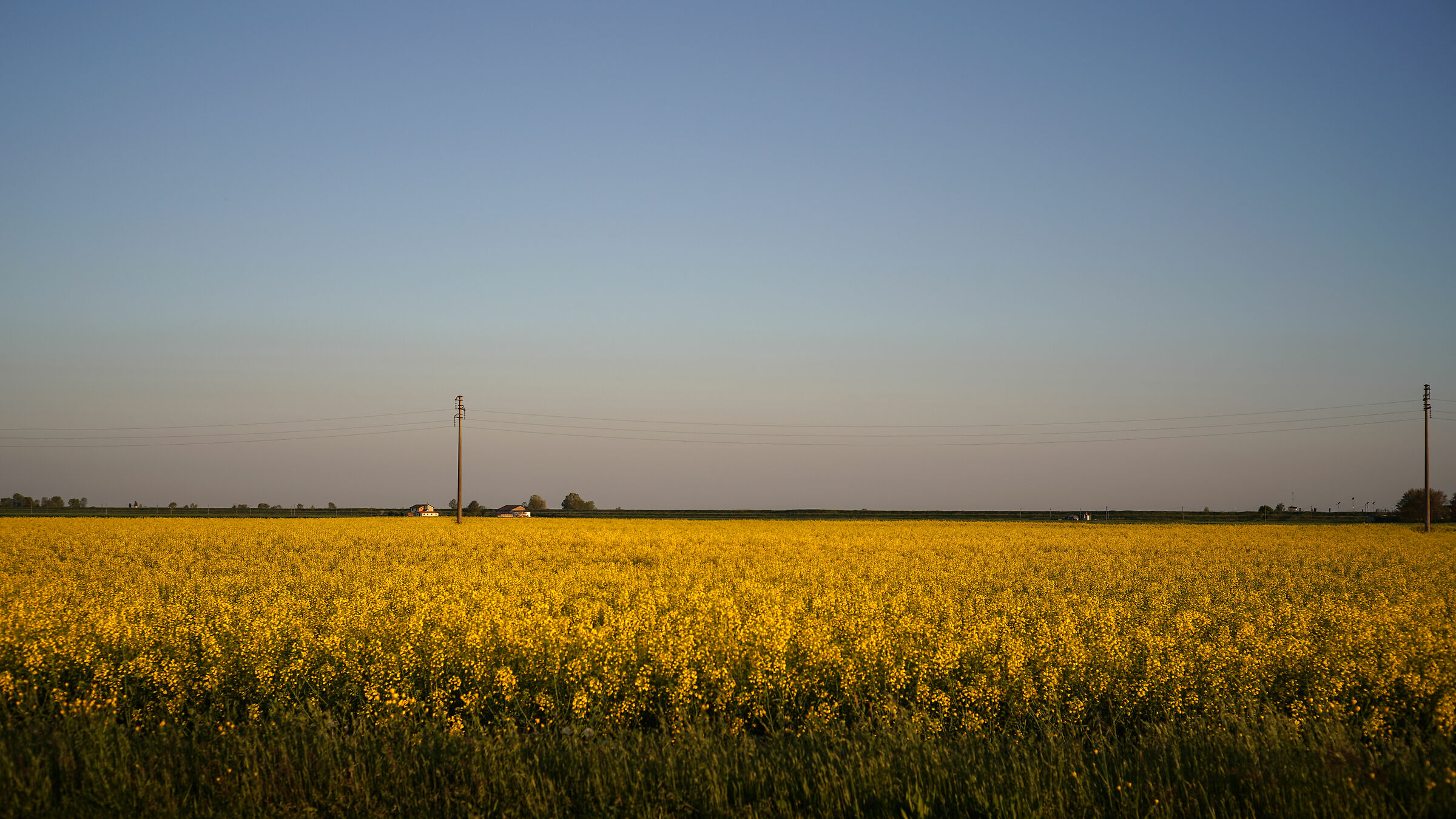 The Lees at Ca ' Zuliani