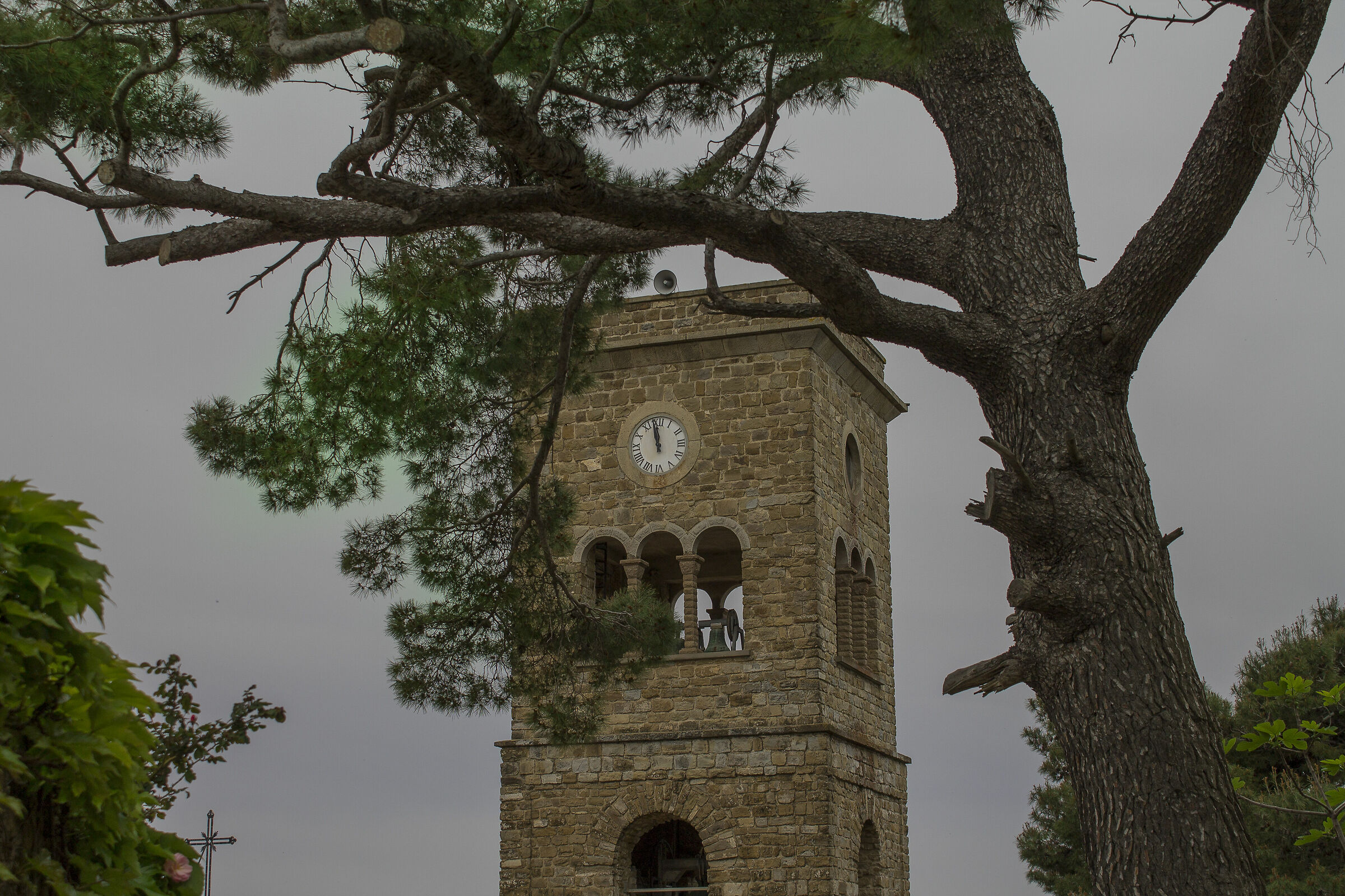 Basilica Pontificia Castellabate (Sa)