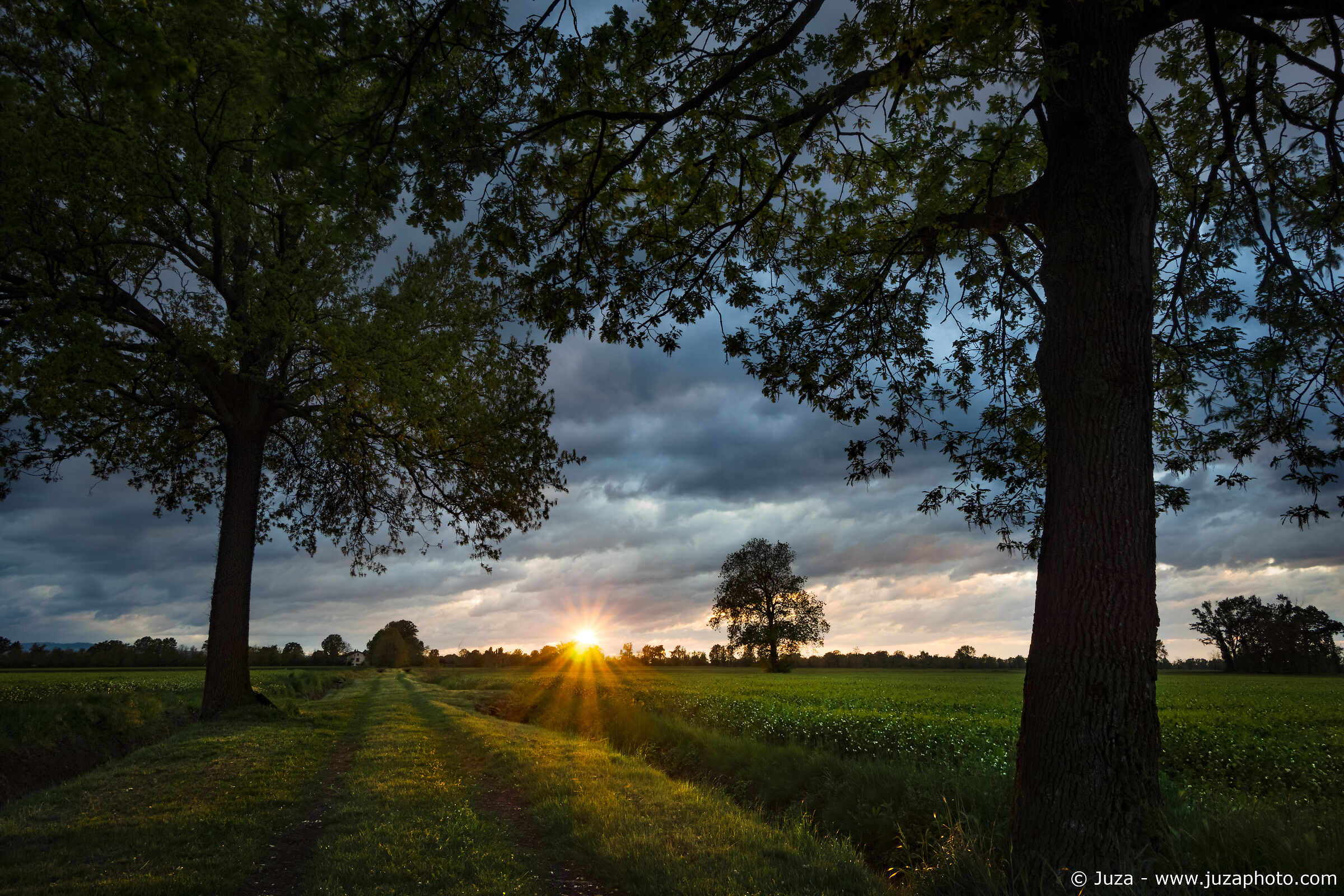 La verde strada tra i campi (Aprile 2019)